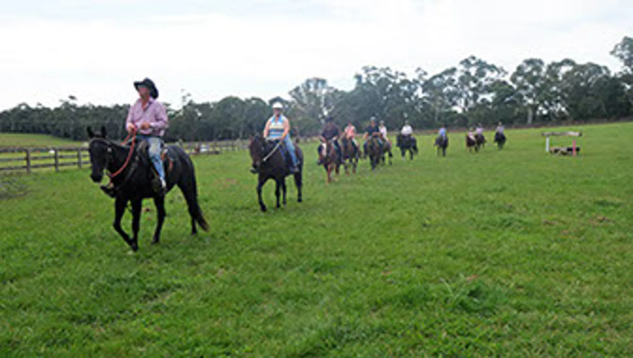 Hollyhall Fun Day Events