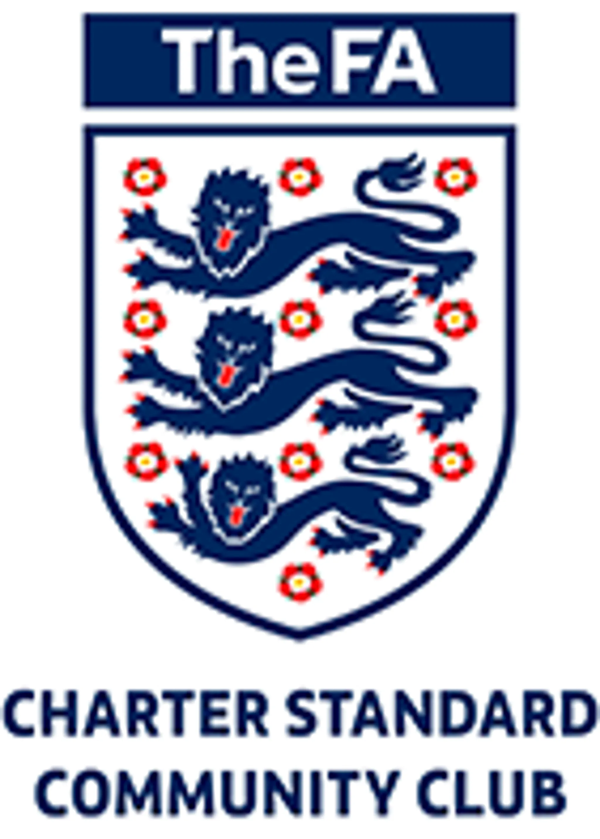 Bewdley Town Football Club