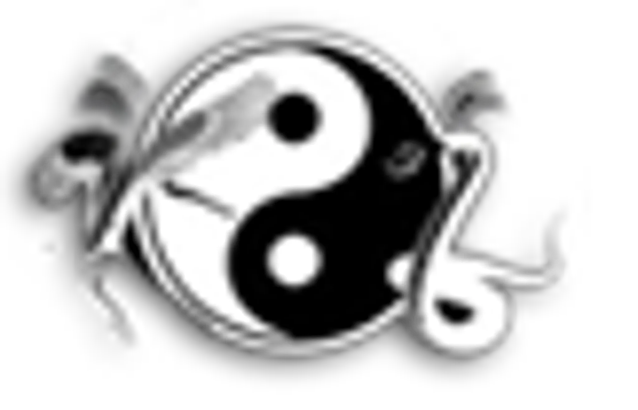 The Wing Chun School Swiss Cottage