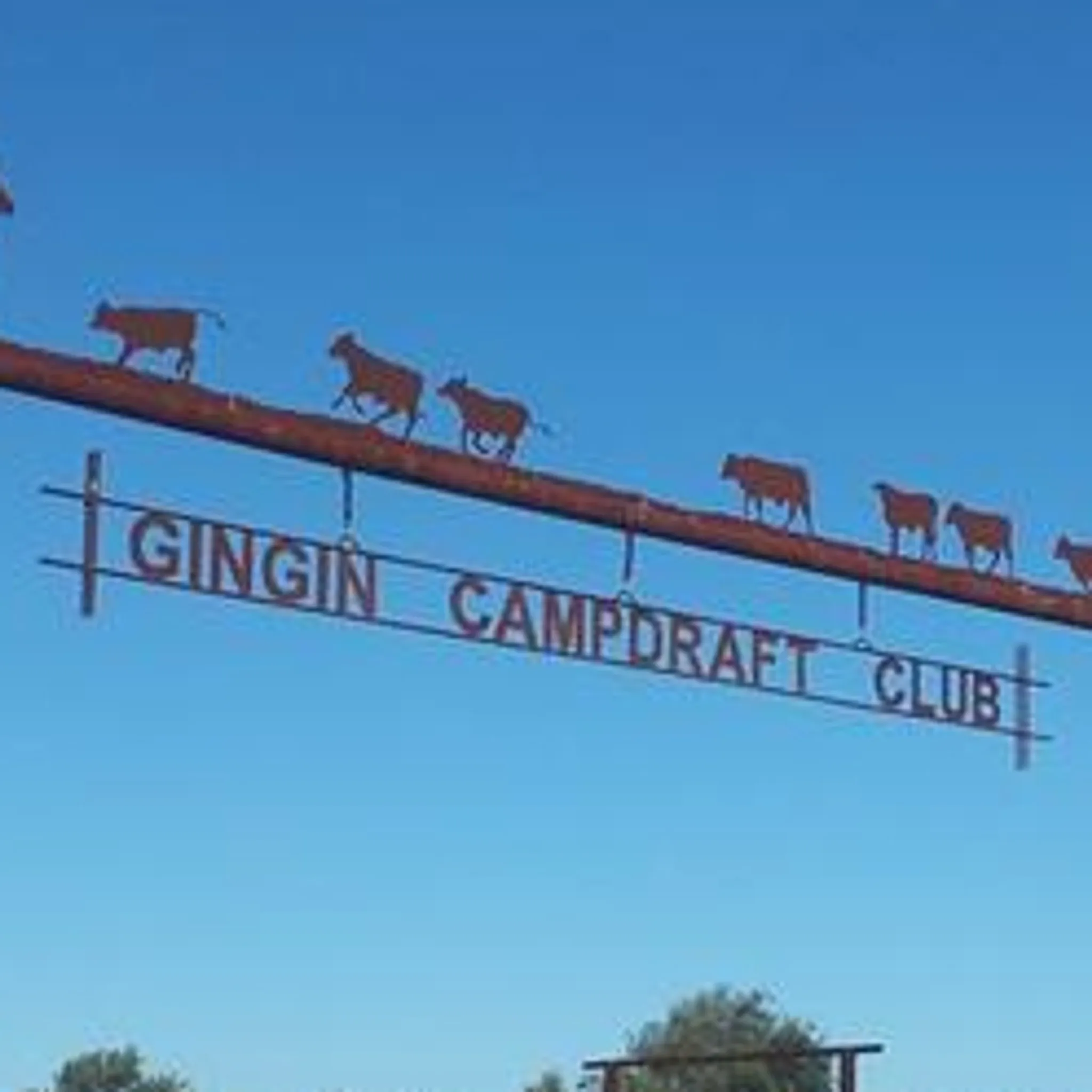 Gingin Campdraft Club Inc.