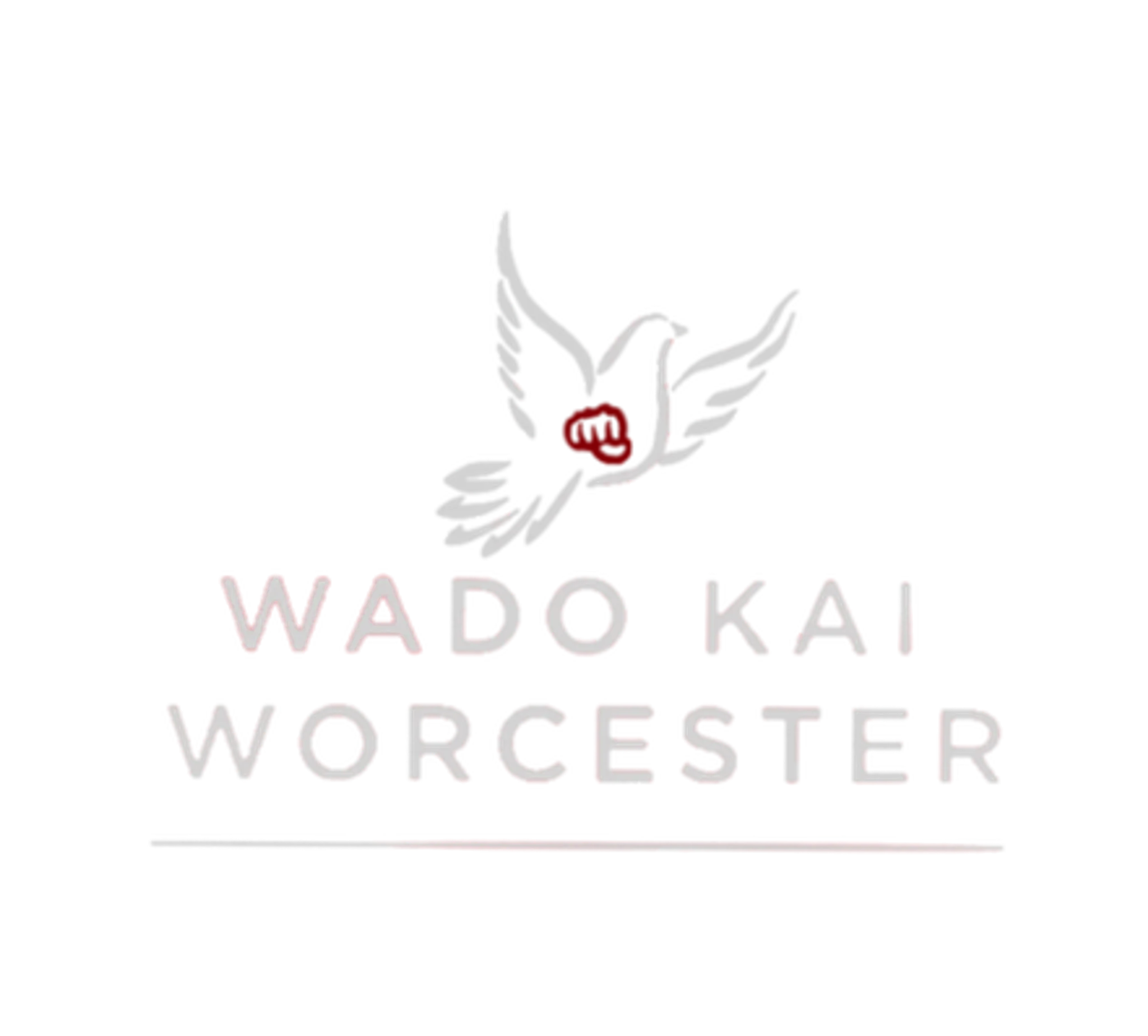 WadoKai Worcester