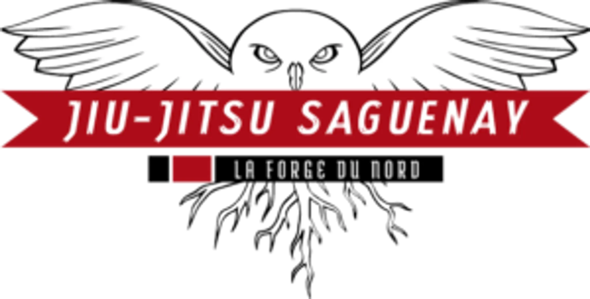 Jiu-Jitsu Saguenay