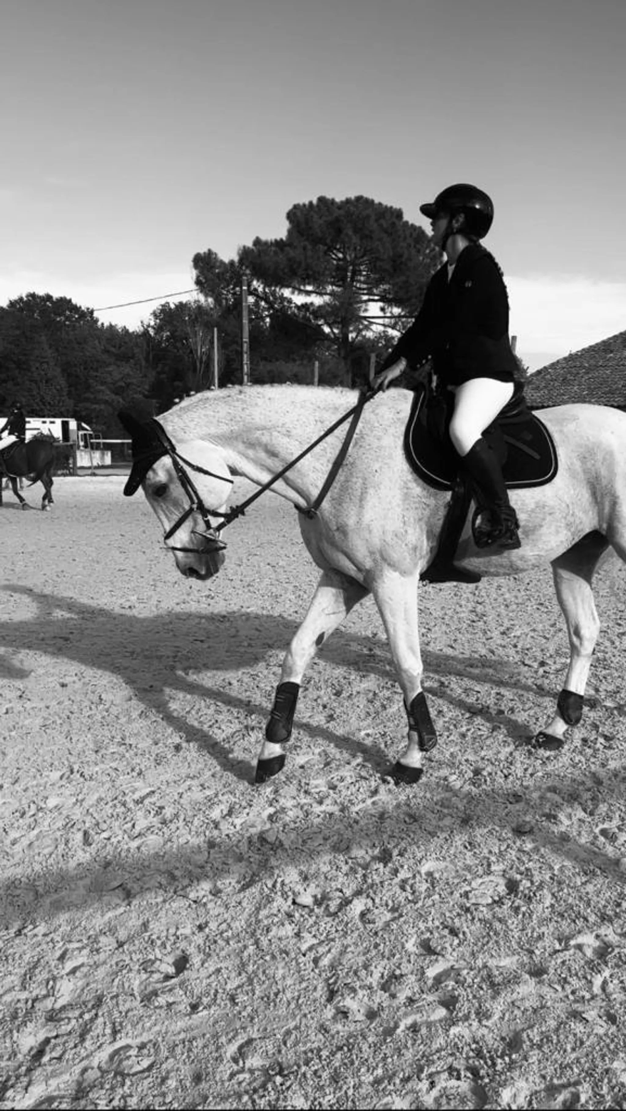 Stables Du Bois Portier