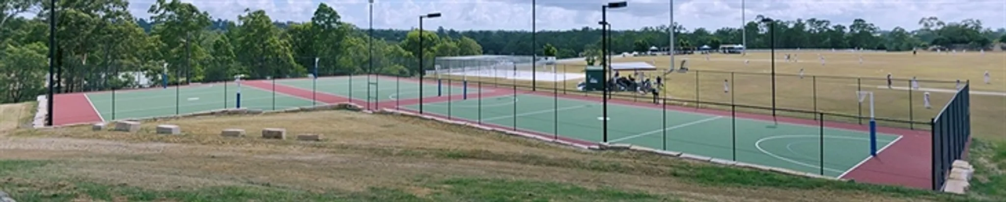 Phoenix Netball Club Rising to the challenge Registration