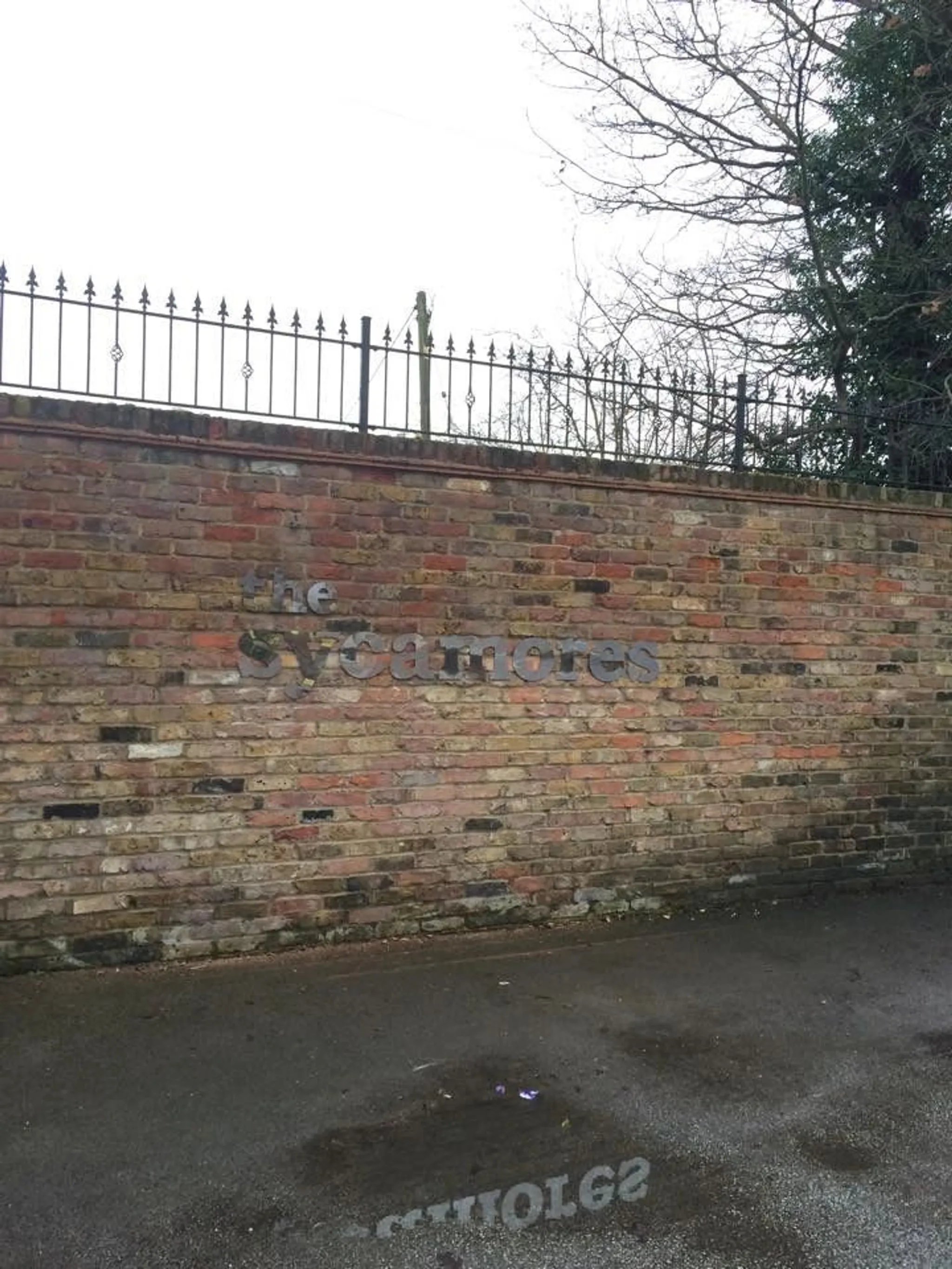 The Sycamores Swim School