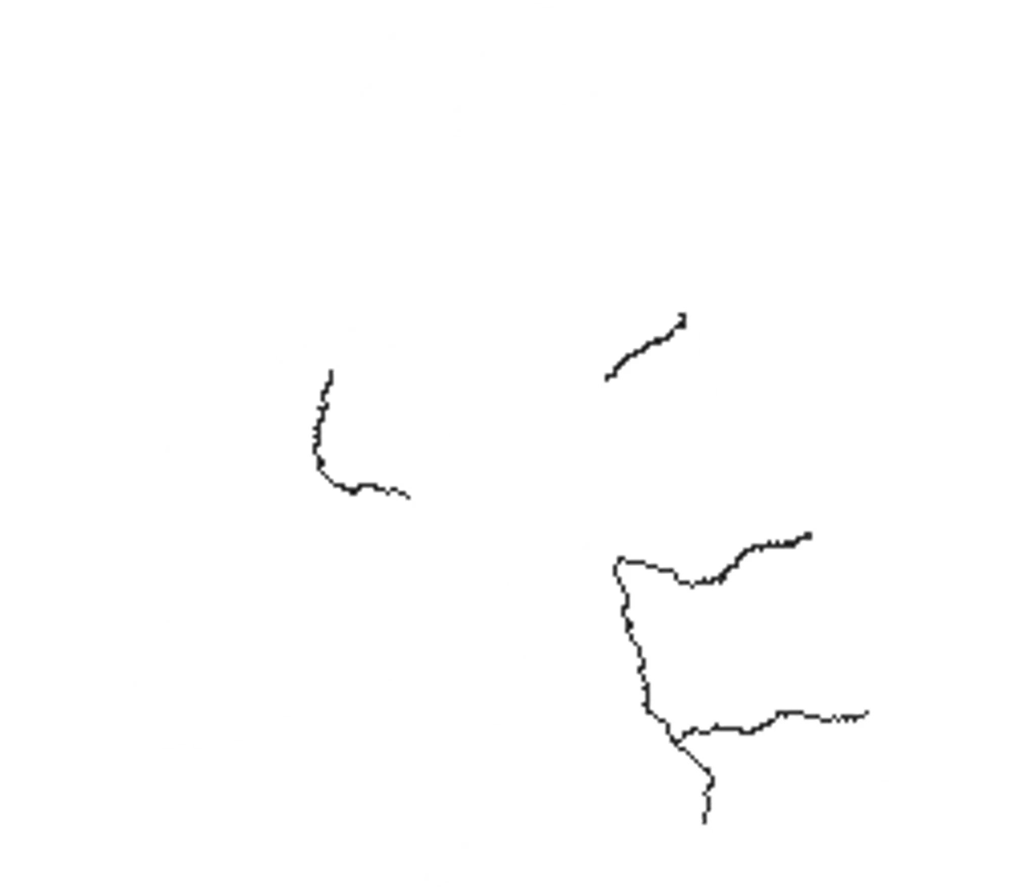 Karting Nation - Northampton