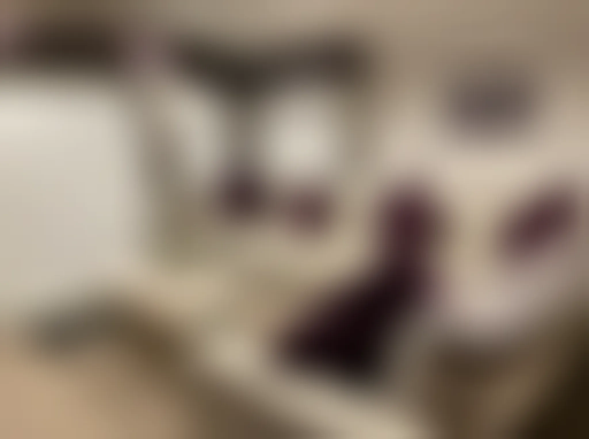 Auroras Dream Lodge - Hoburne Cotswolds Holiday Park  Private Owner