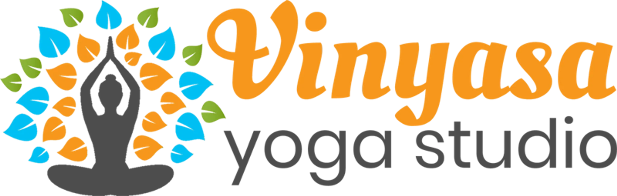 Vinyasa Yoga Studio