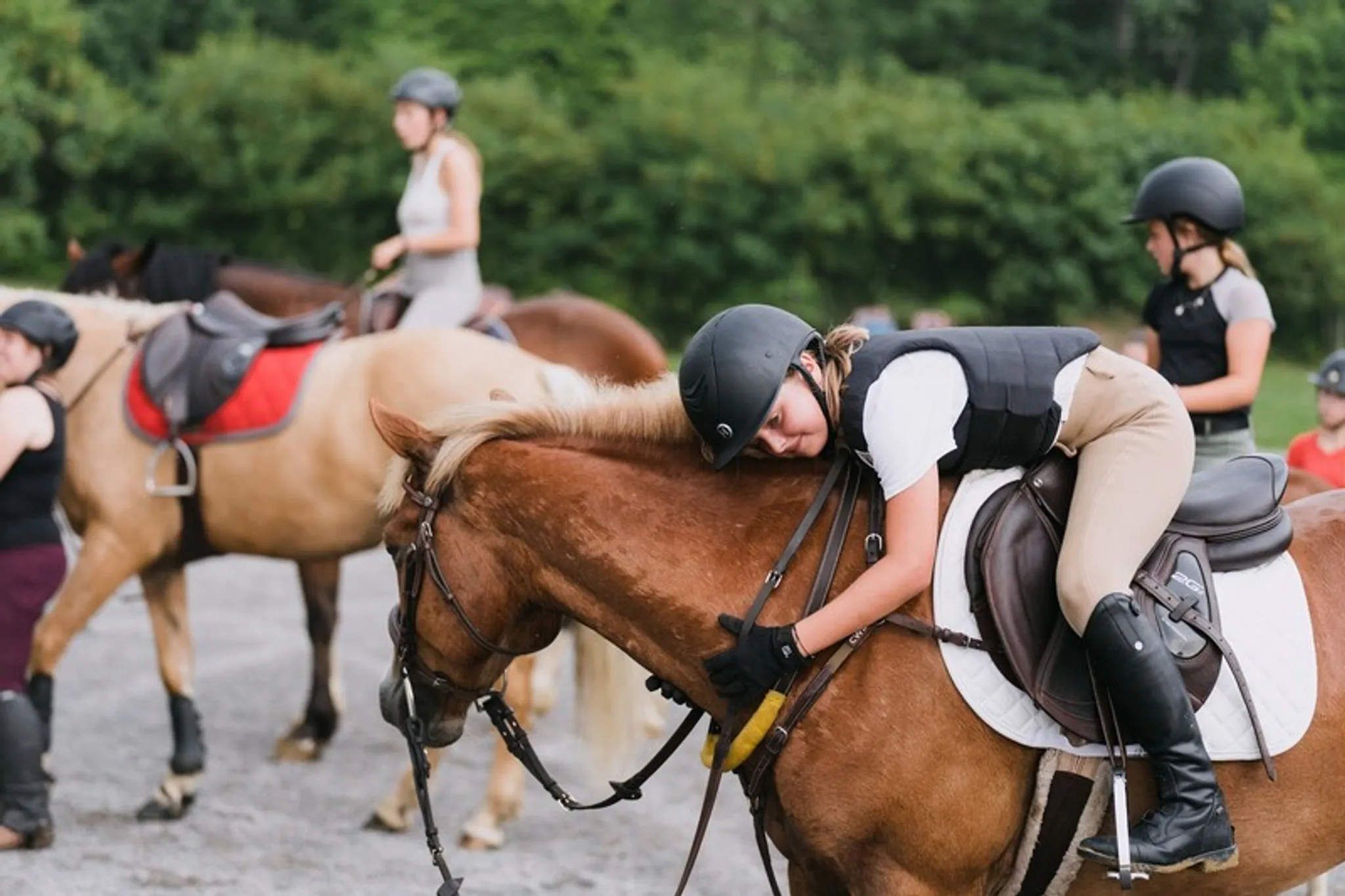Poneys et plus de Poneys