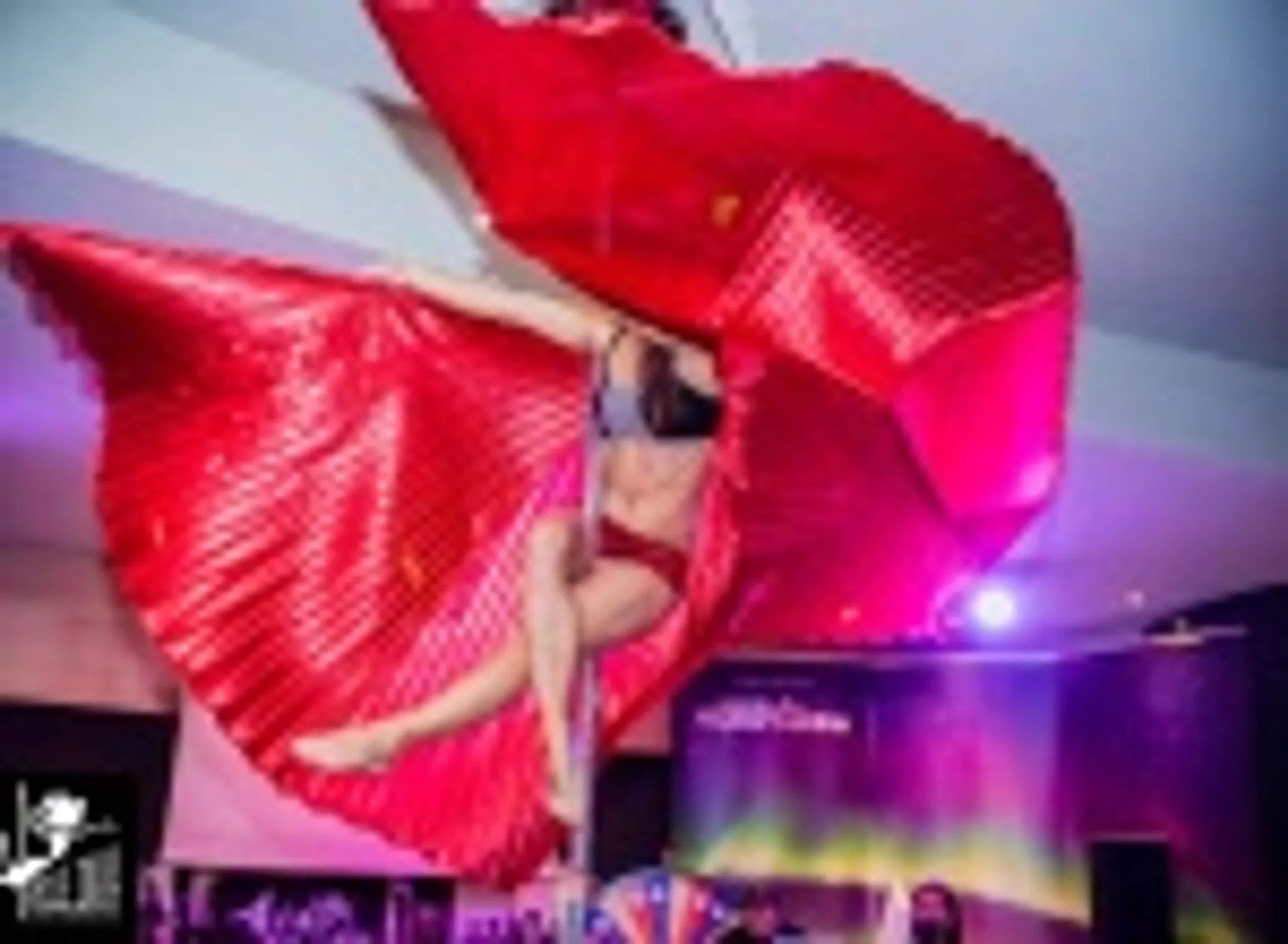 POLE DIVA art vertical dance