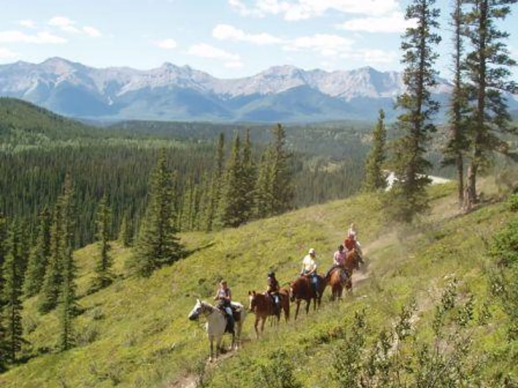 Old Entrance Trail Rides Horseback Trail Riding