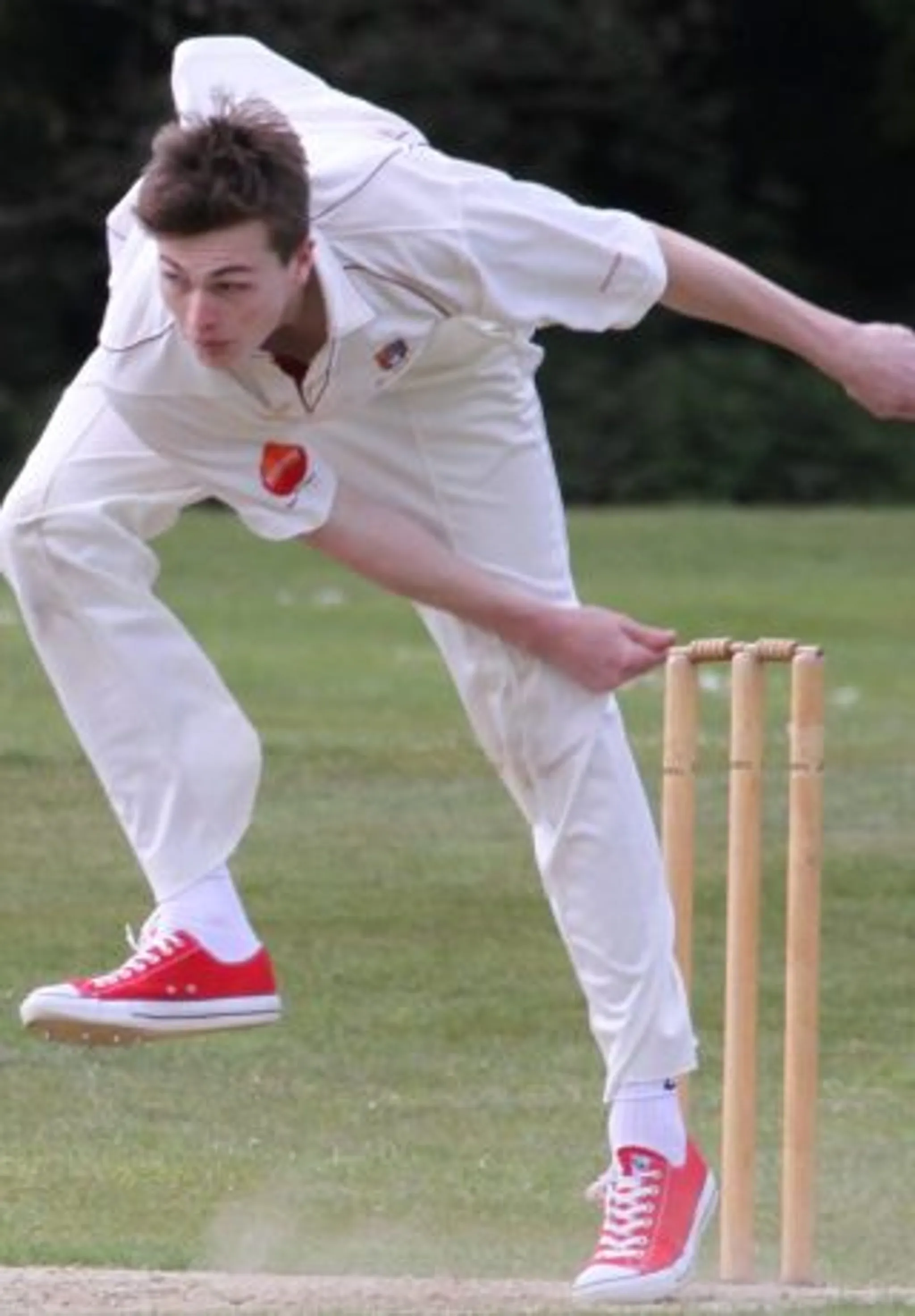 All Stars and Dynamos Cricket at Grayshott