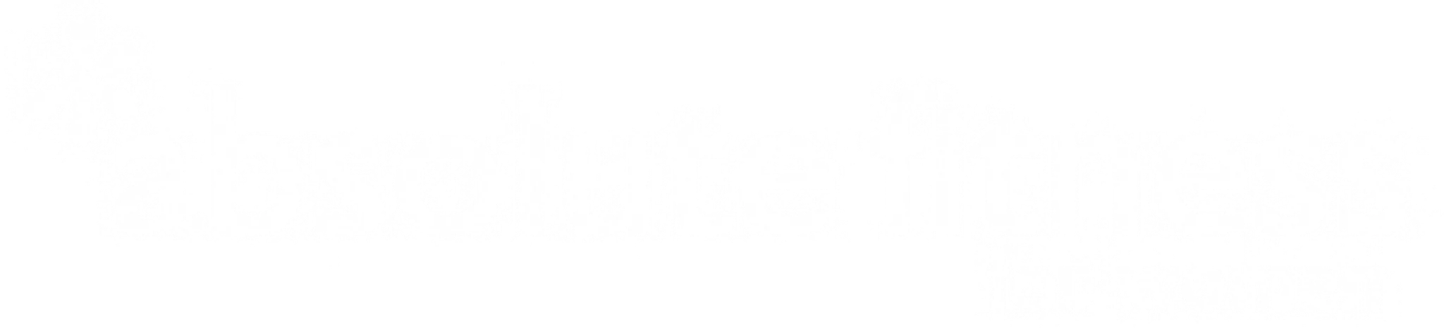 Absolute Fitness For Women