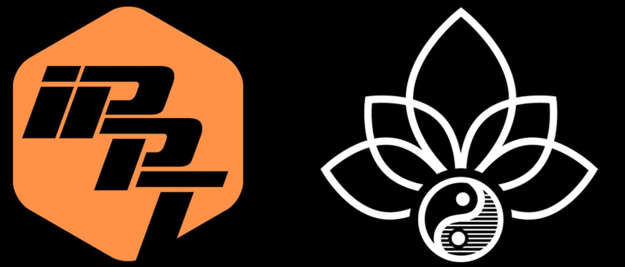 IPPT - I Perth Personal Trainer