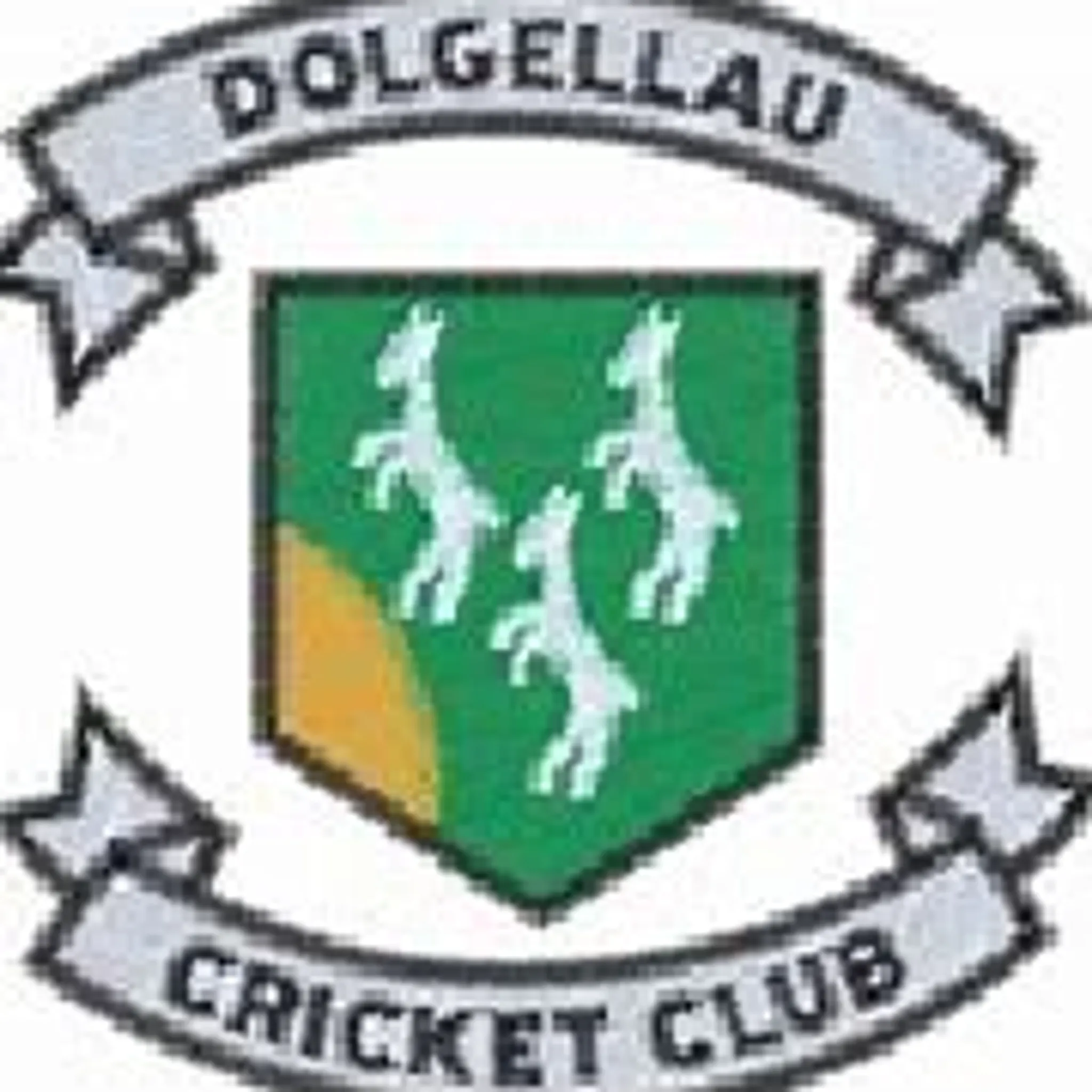 Dolgellau Cricket Club