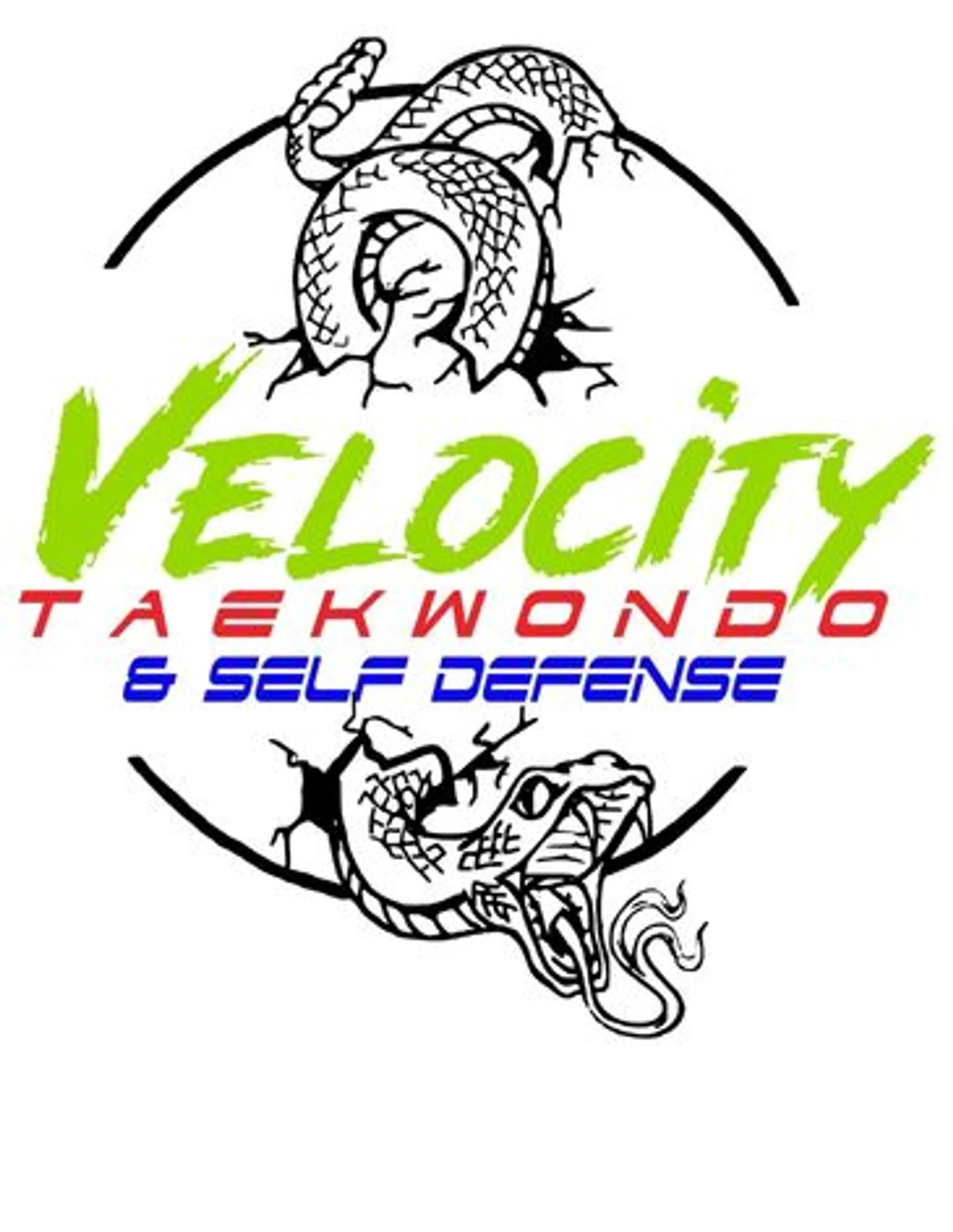 Velocity Taekwondo and Self Defense
