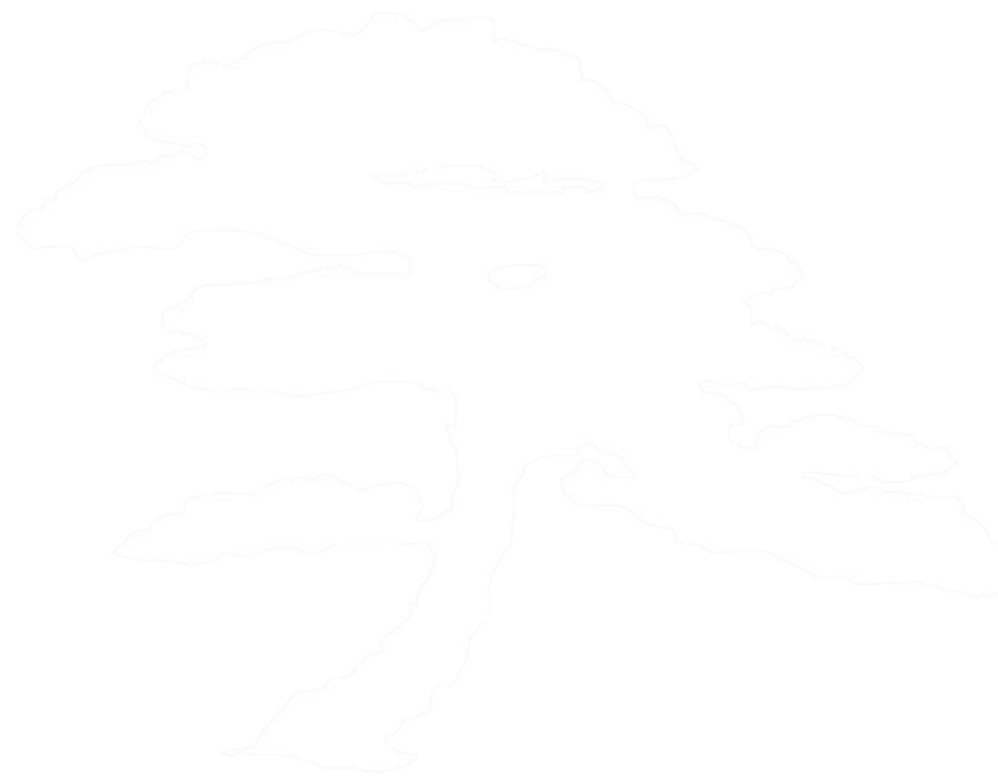 Martial Arts Du 4eme