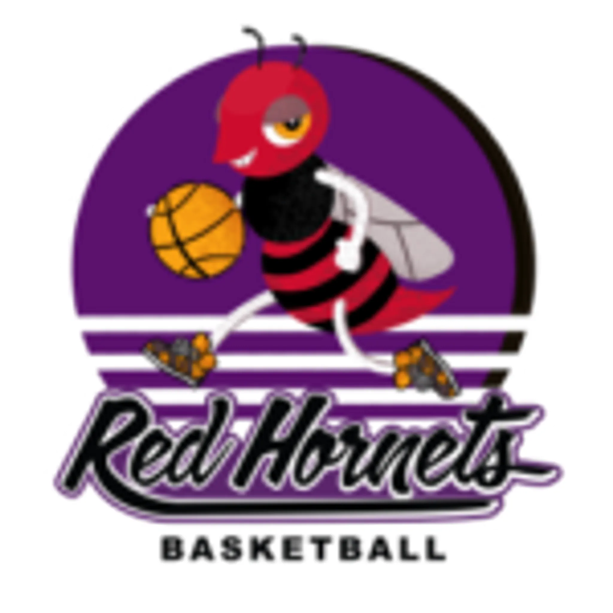 RED HORNETS BASKETBALL (formally known as RICHMOND HILL BASKETBALL)=)