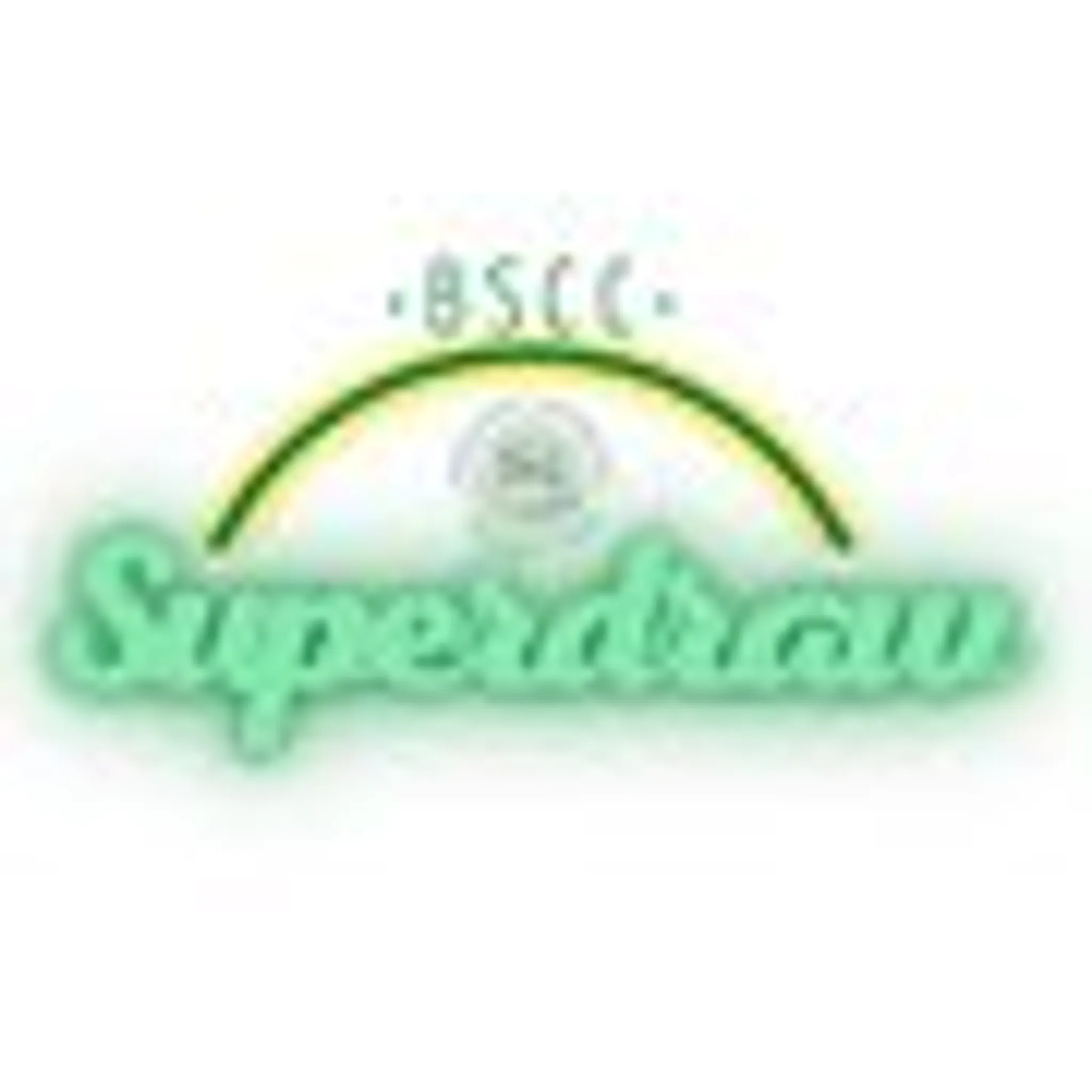 Budleigh Salterton Cricket Club