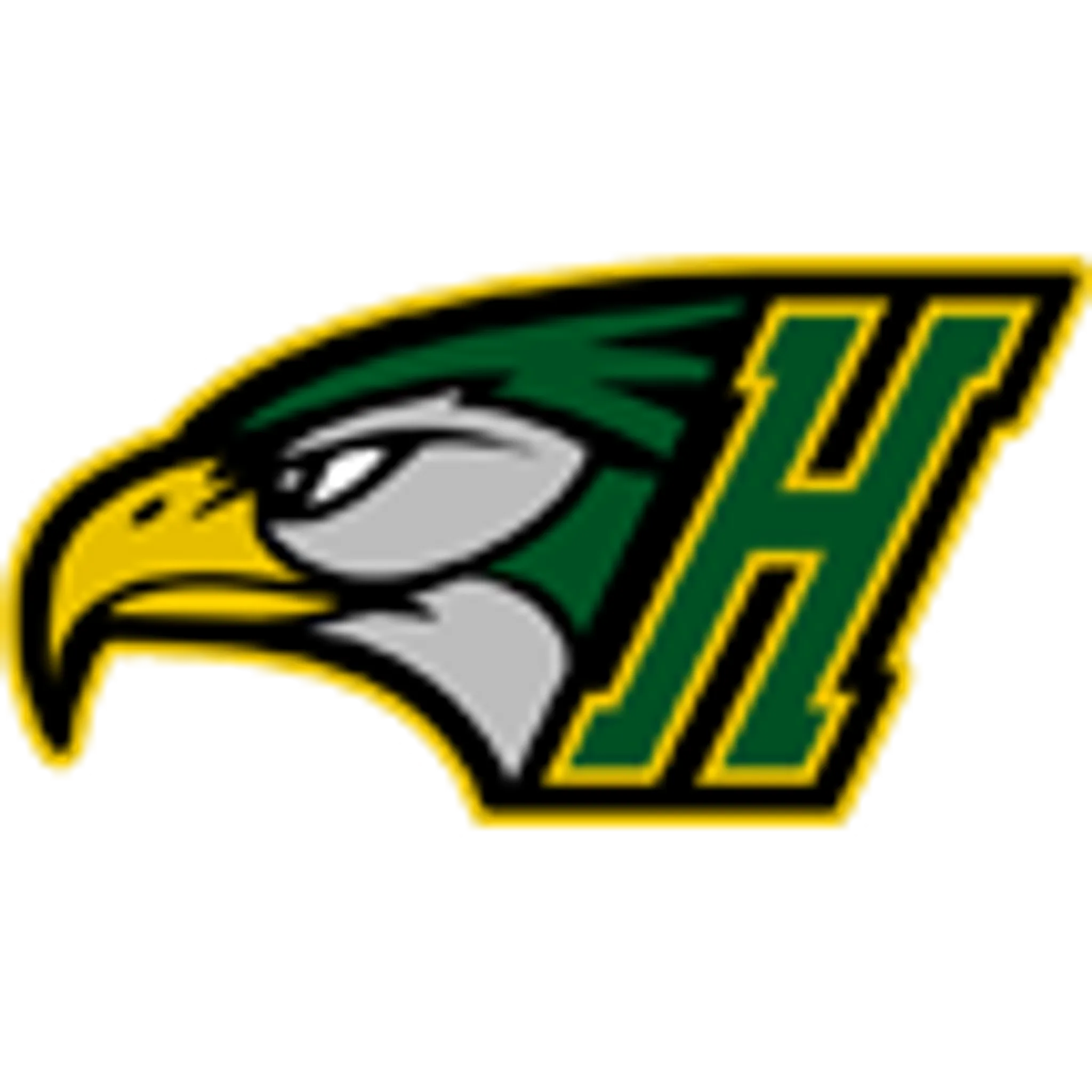 Newmarket Baseball Association