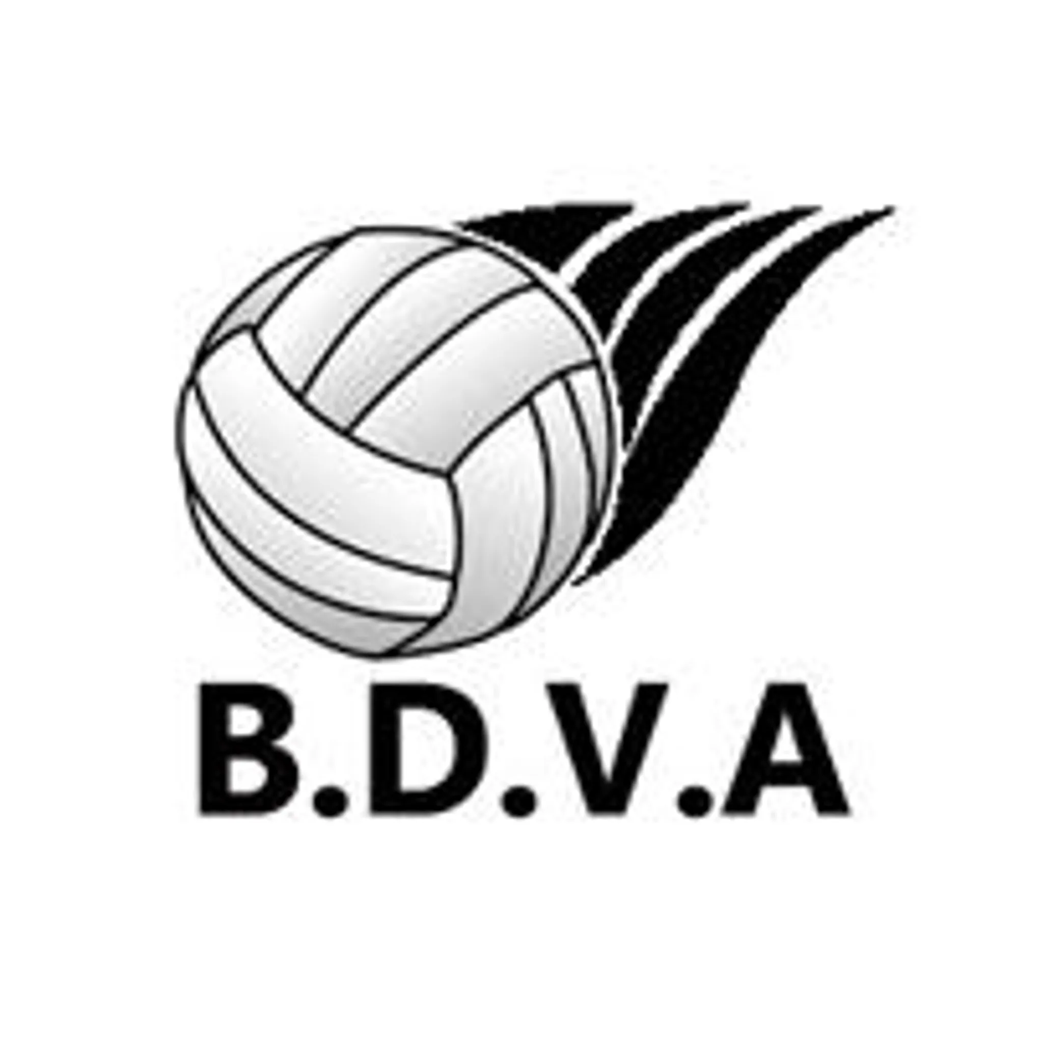 Bundaberg & District Volleyball Association
