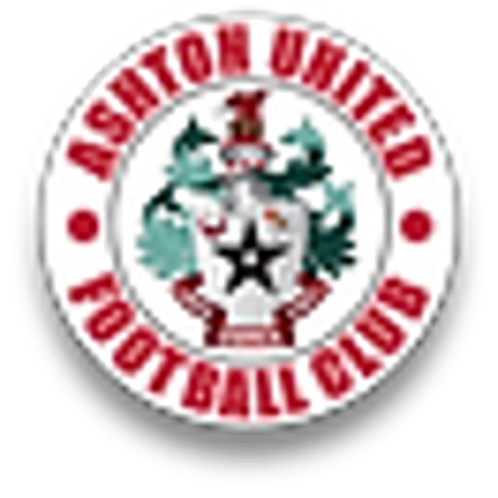 Ashton United in the Community