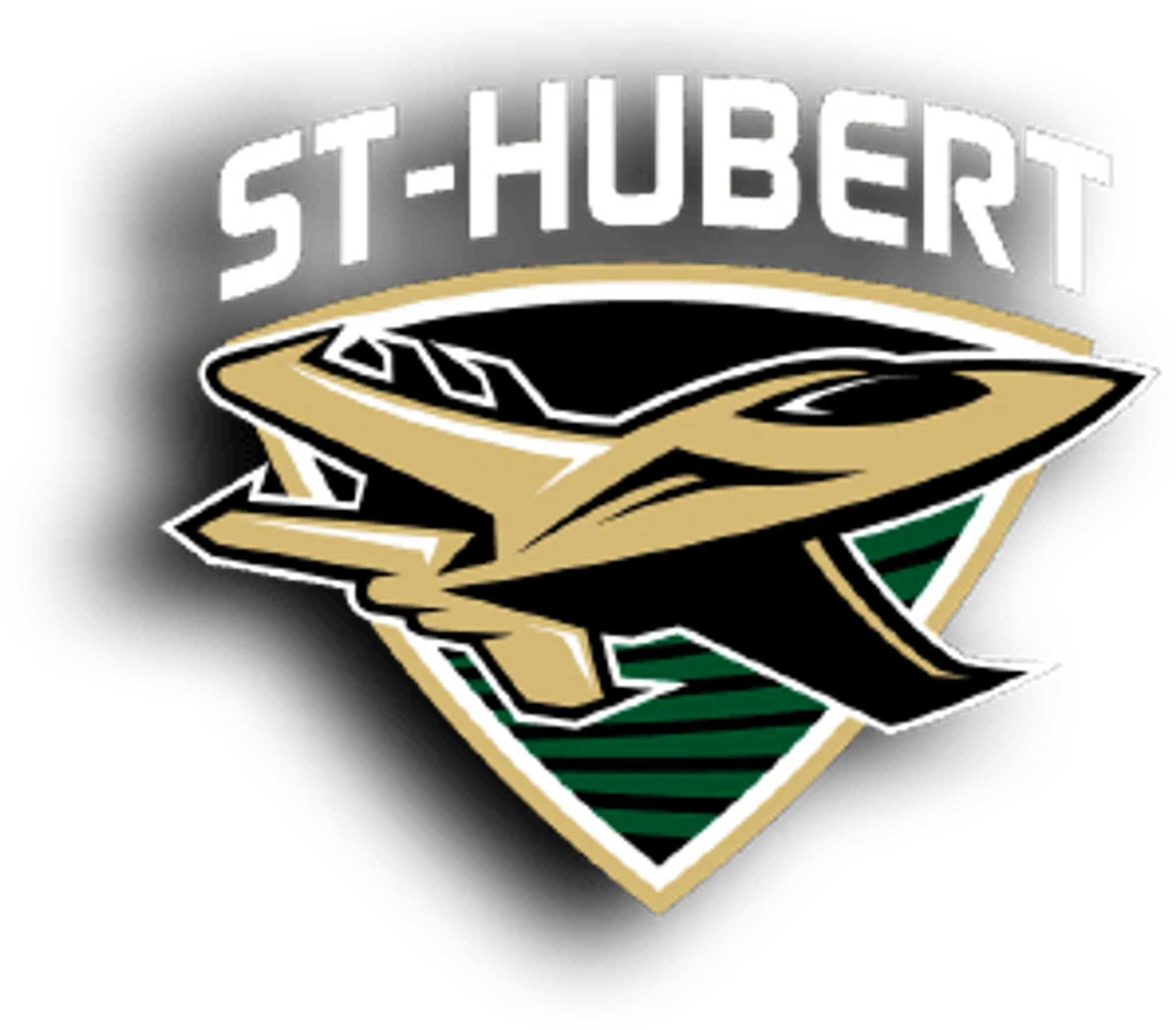 Jets St Hubert Inc