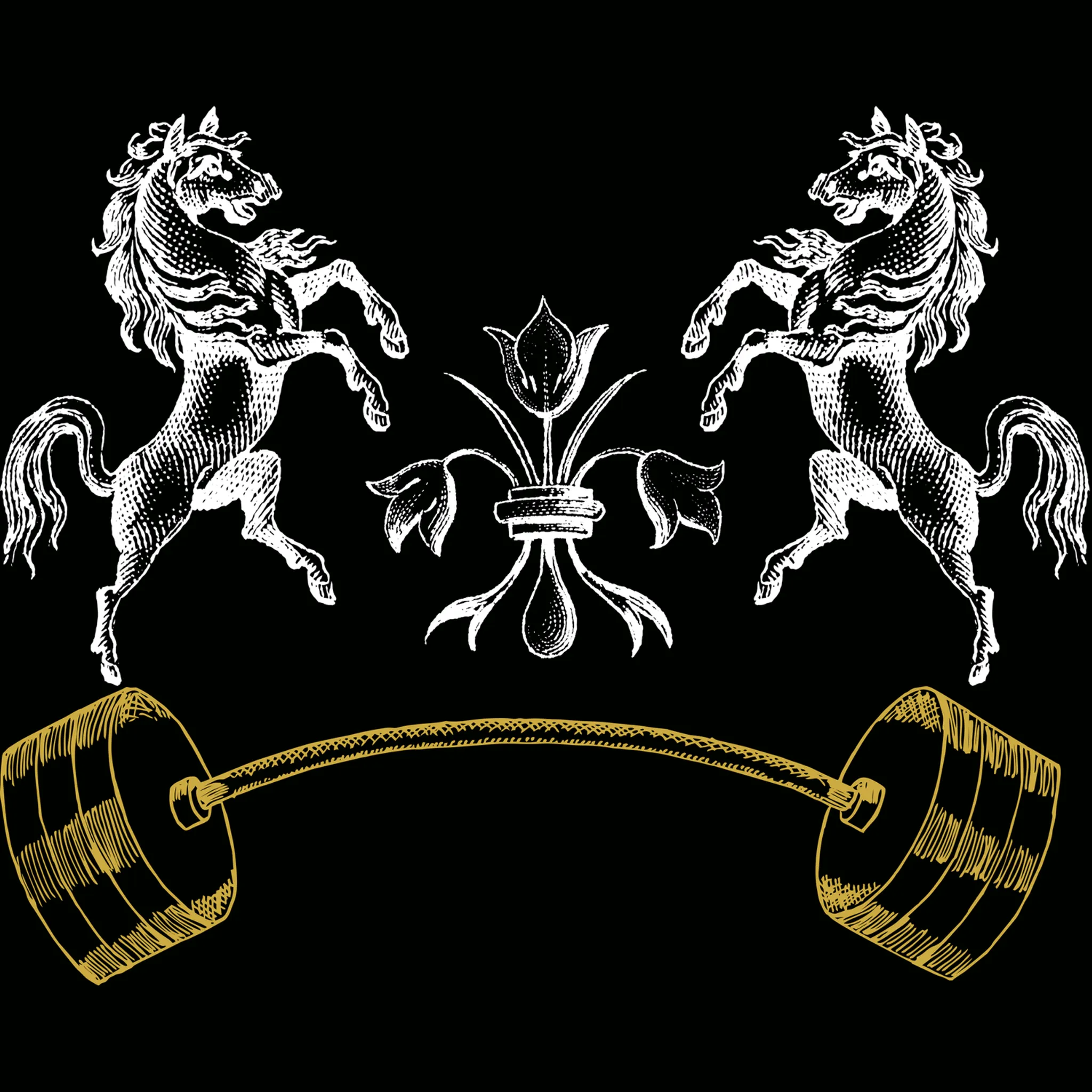 Rider Strength Coach