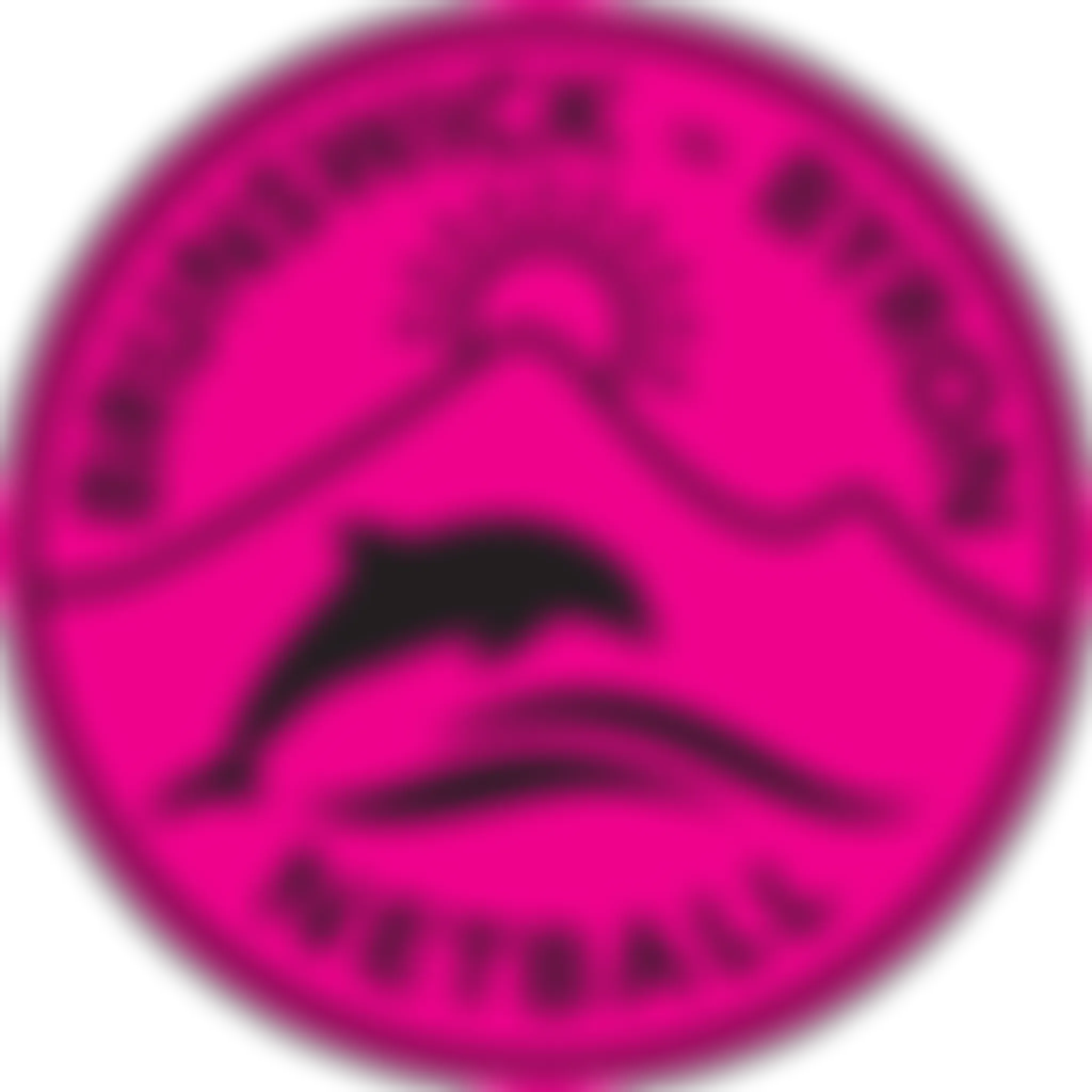 Mullumbimby Netball Courts