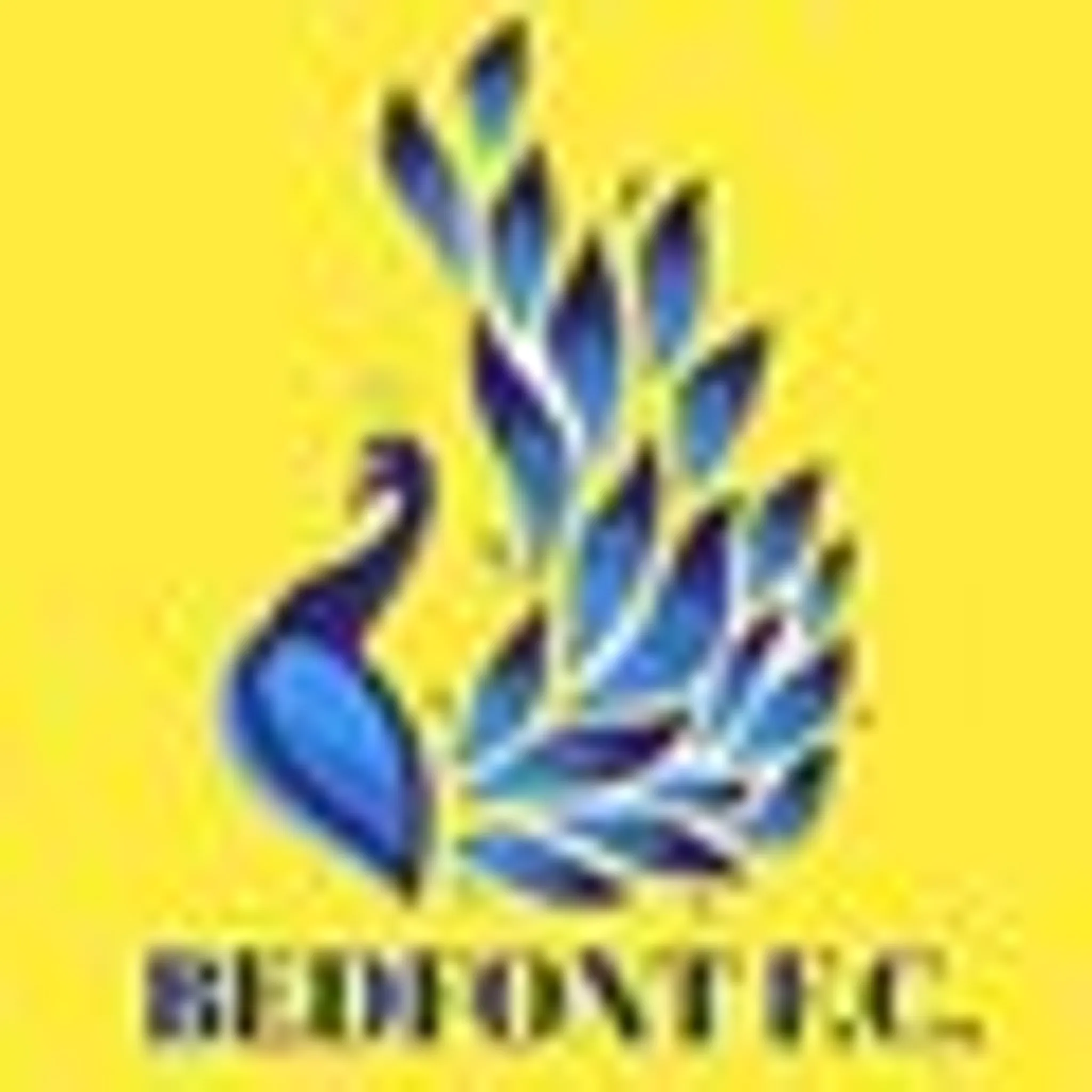 Bedfont Football & Social Club