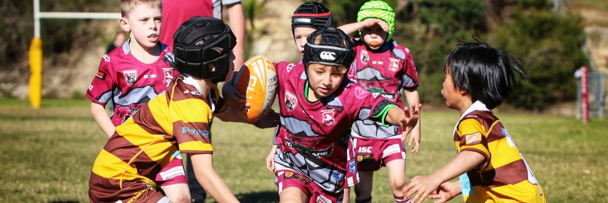 Berowra Wallabies Junior Rugby League Football Club