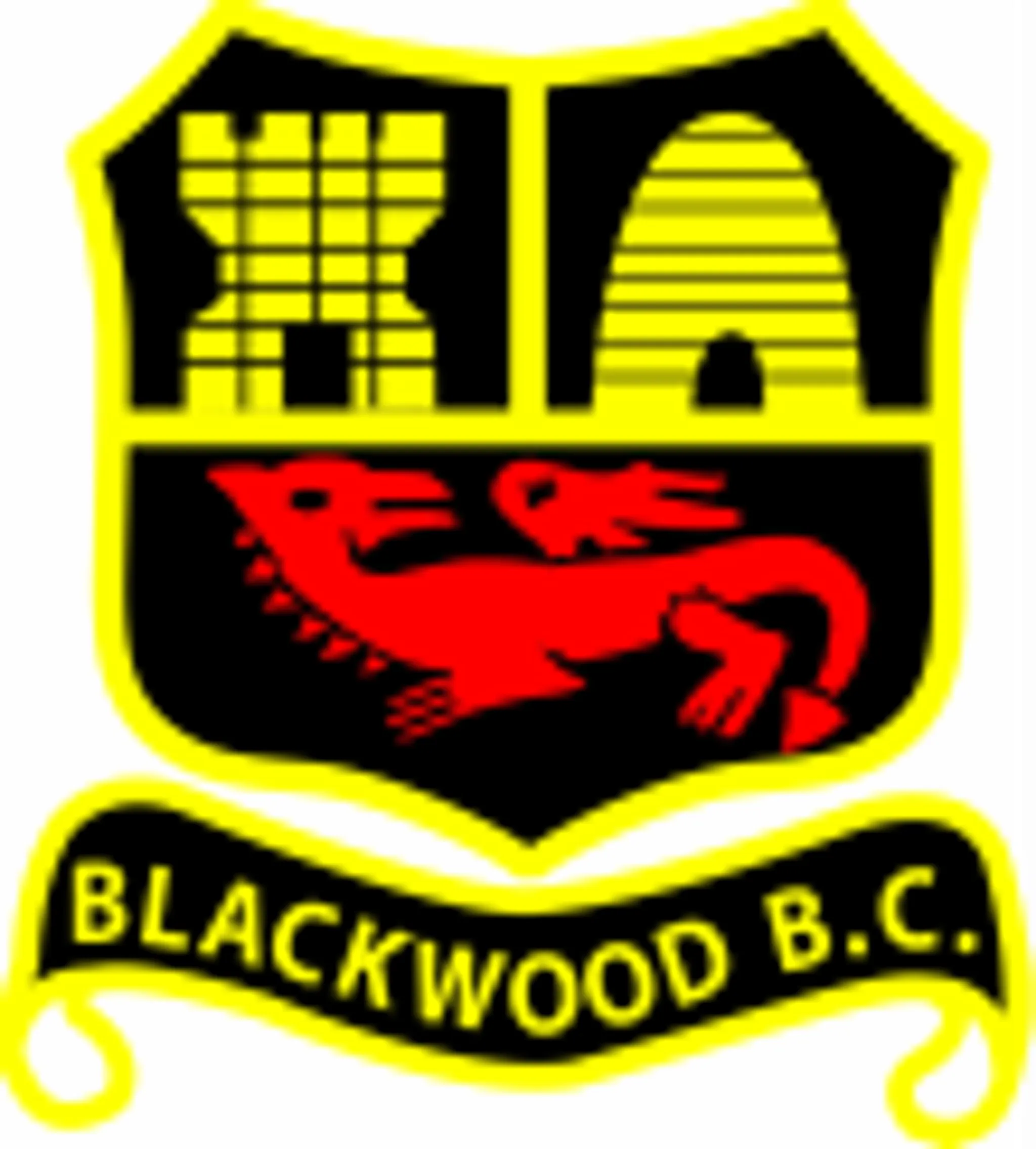 Blackwood Bowls Club