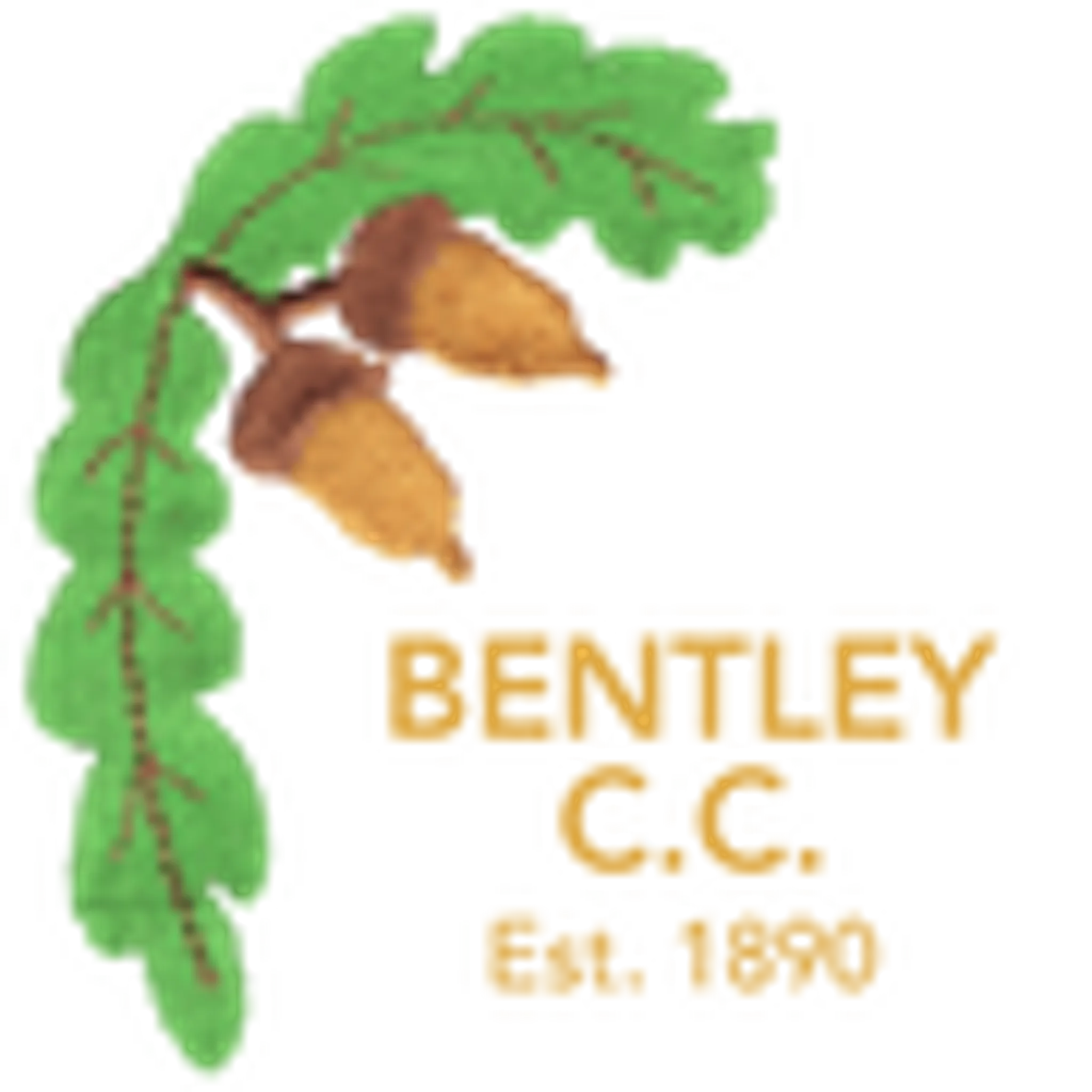 Bentley Cricket Club