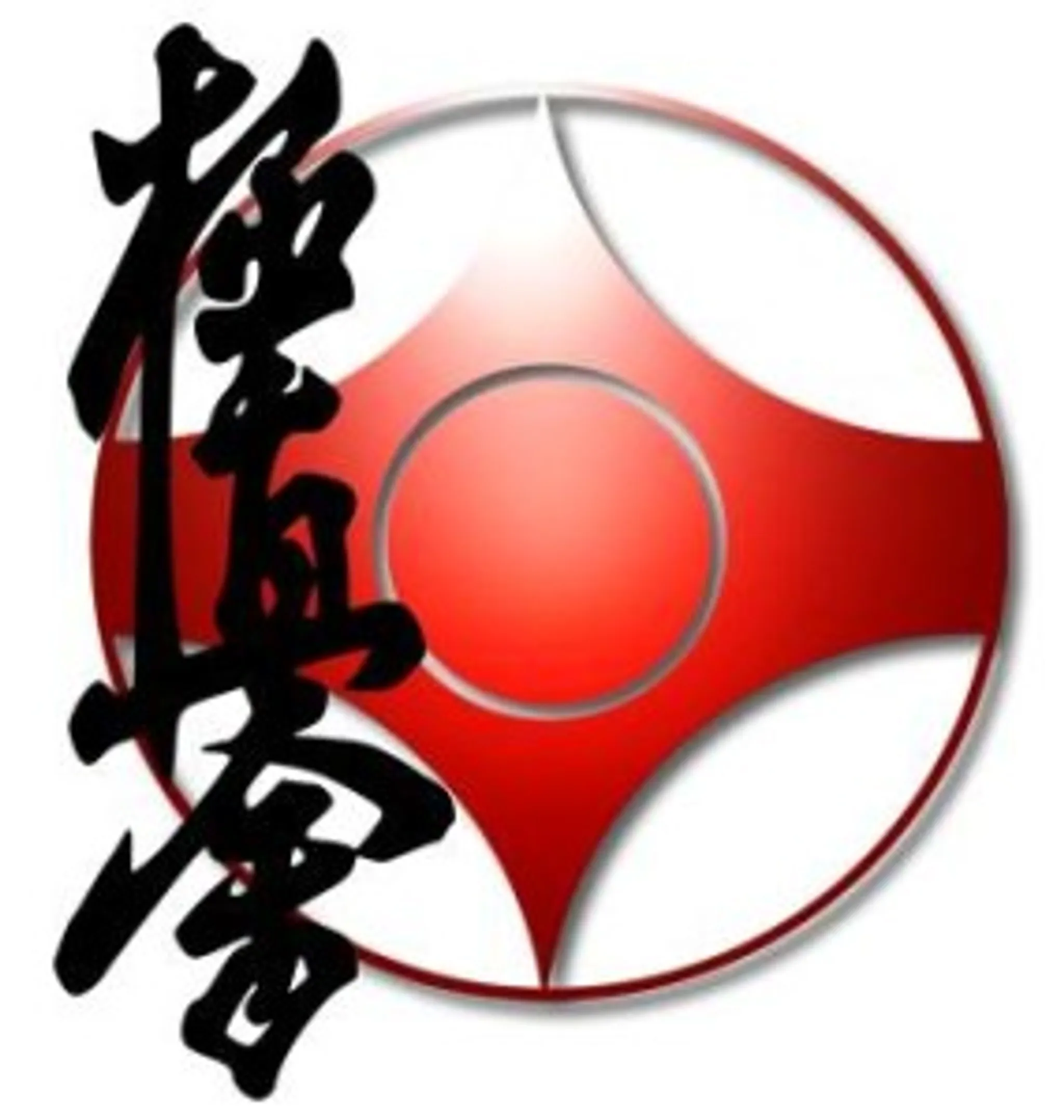 Kyokushin Karate Geelong