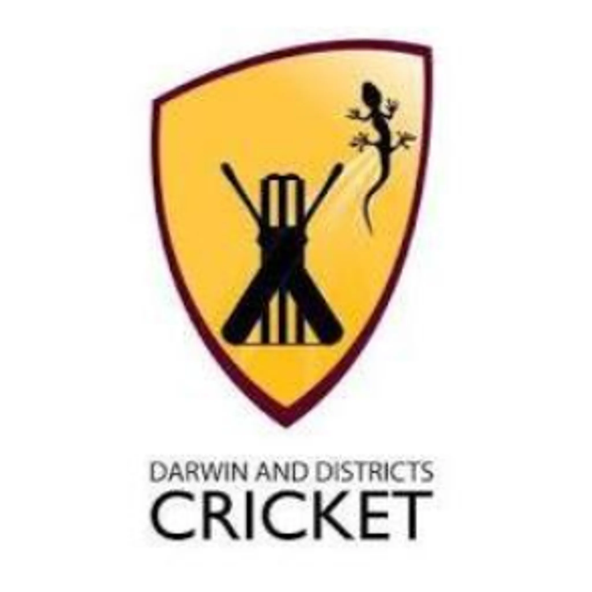Darwin & District Cricket