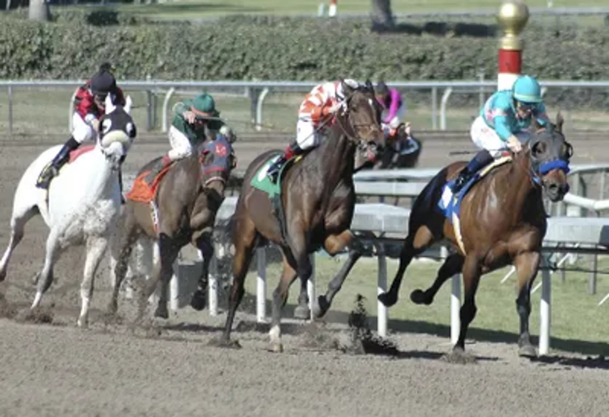 Kempston Park Indoor Bowls Club
