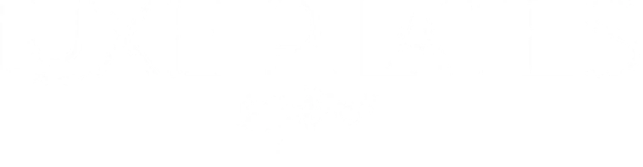 LUXE PILATES & FITNESS