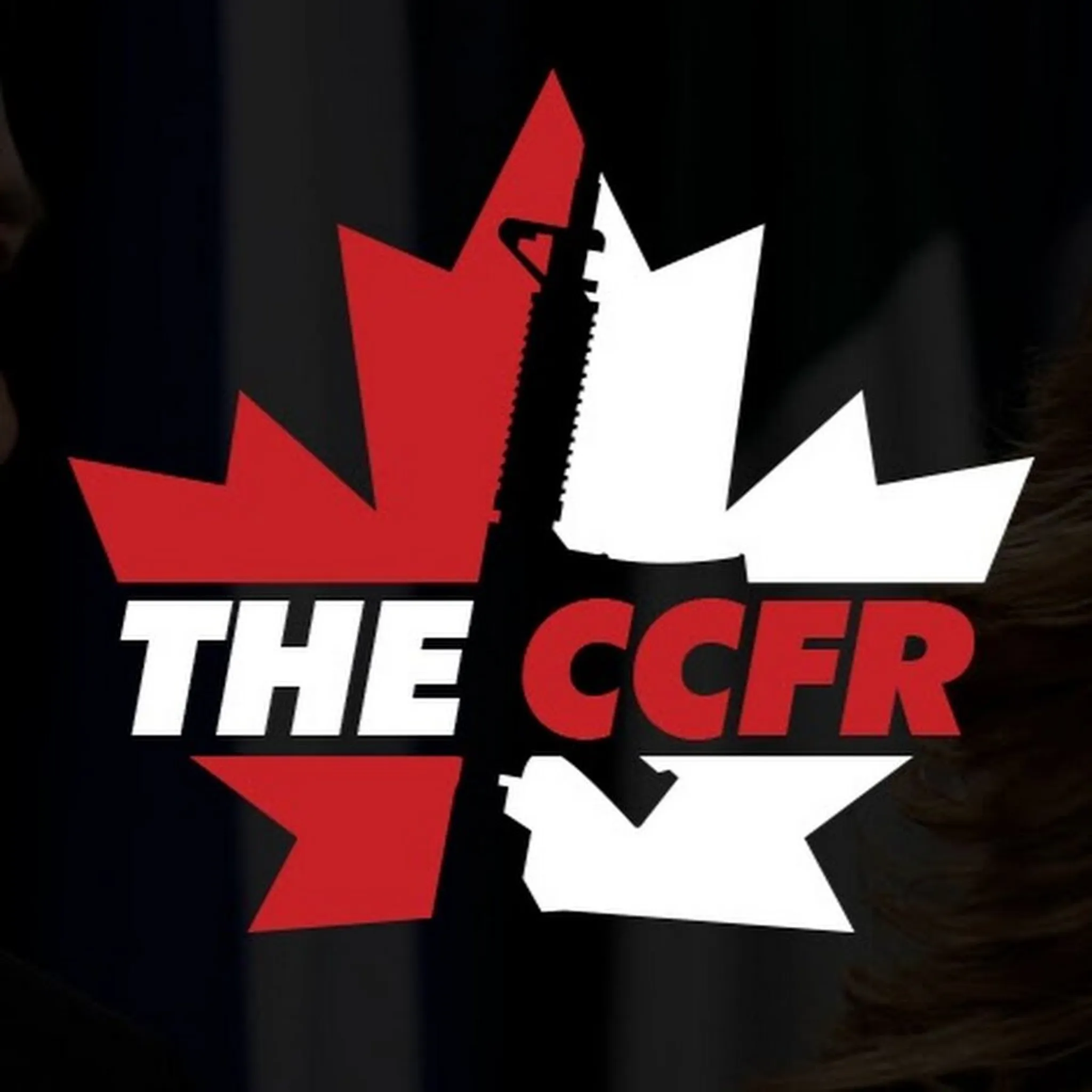 ITTA and Ninpo Martial Arts School