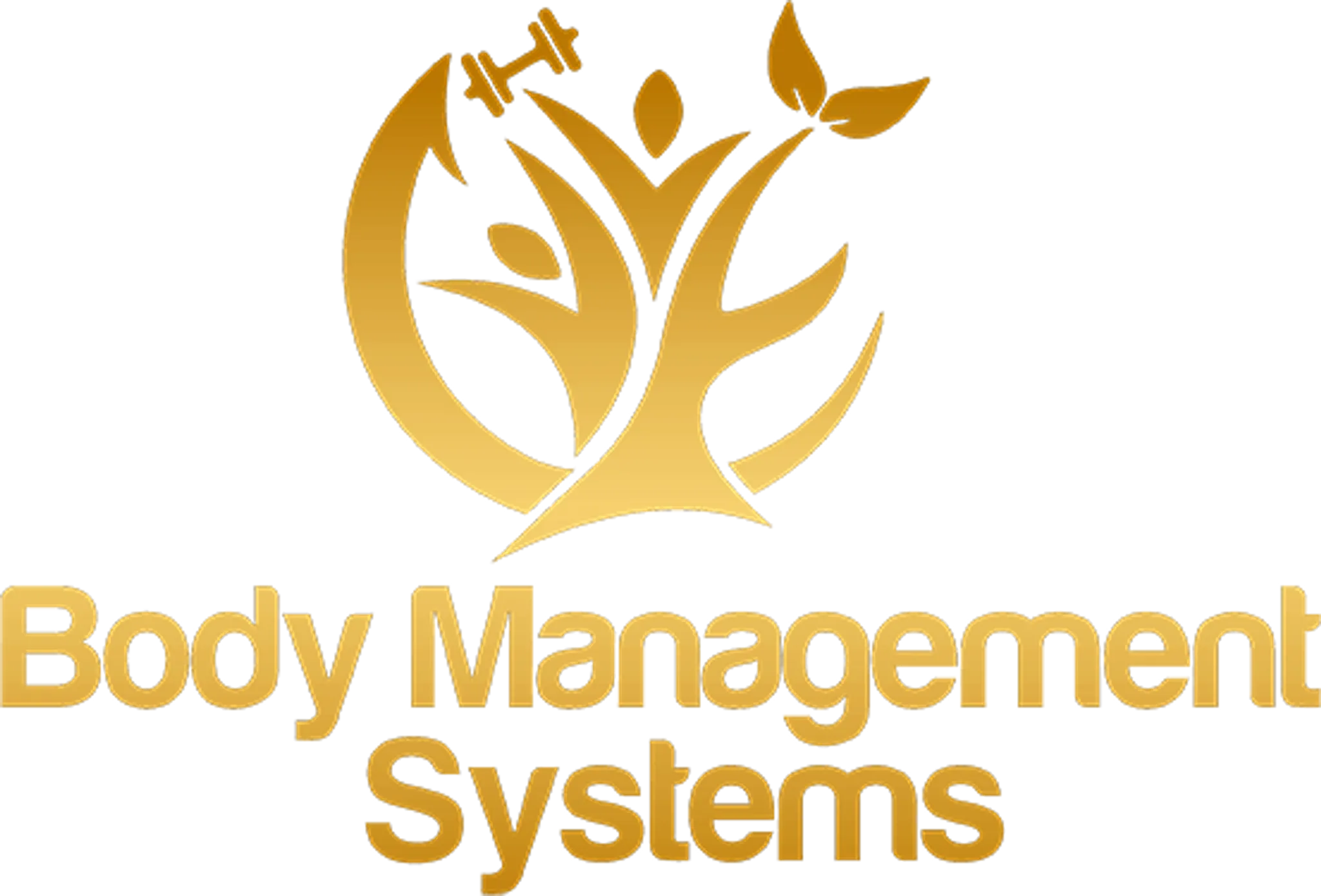 BodyManagementSystems