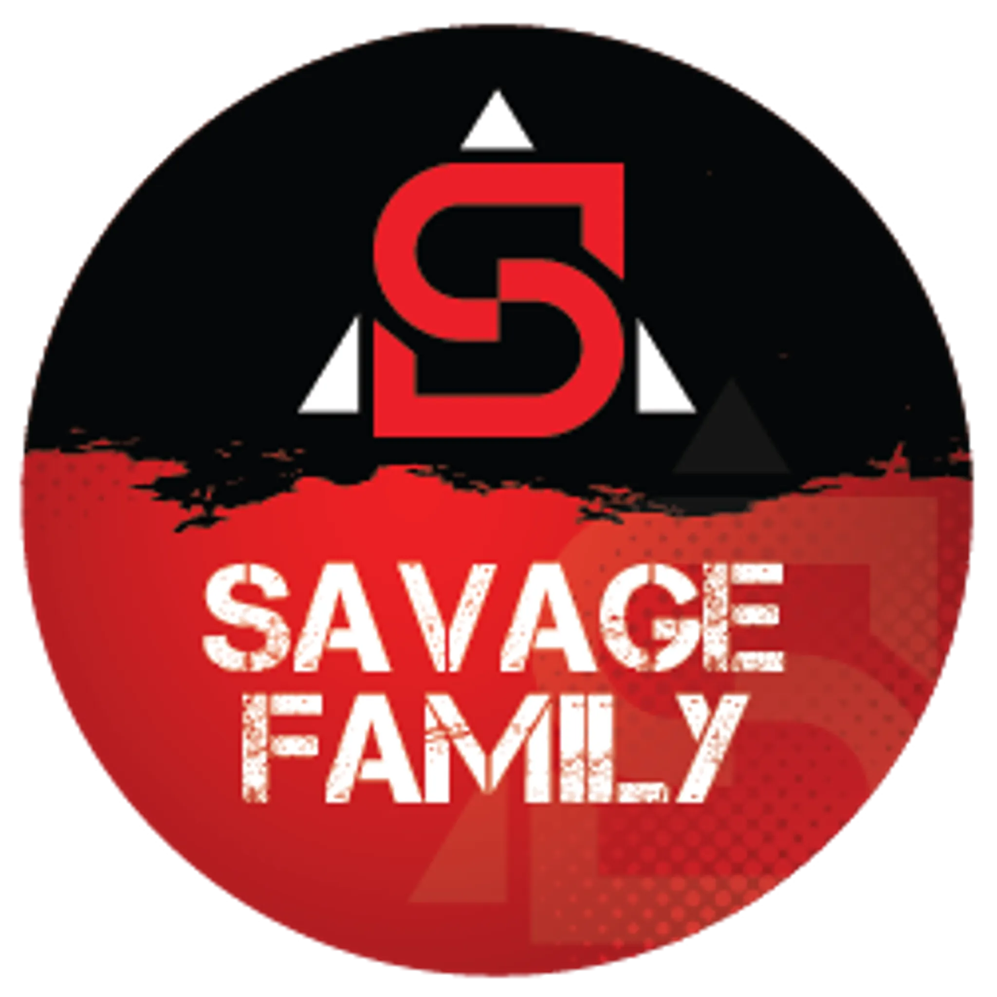 Savage Martial Arts Antrim