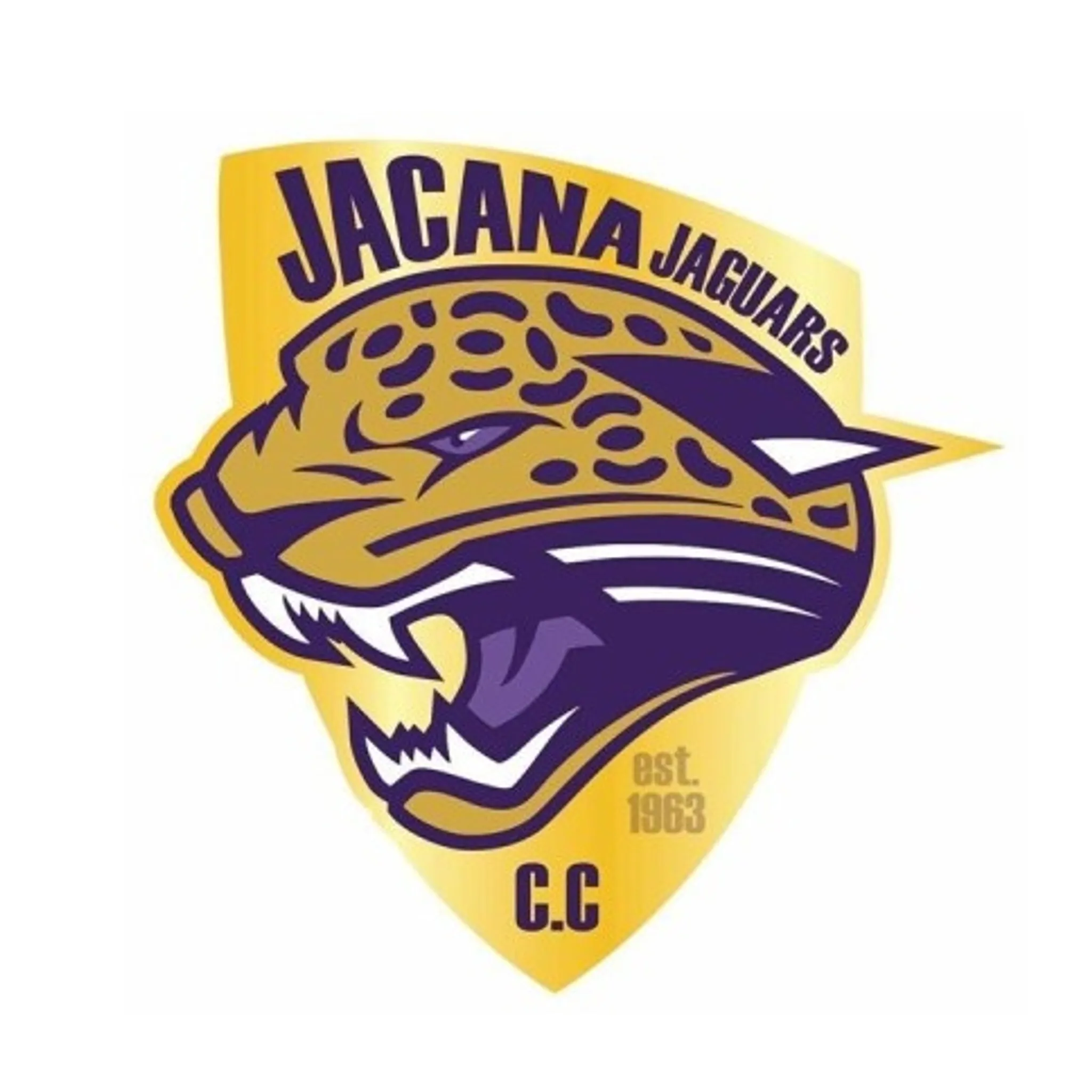 Jacana Cricket Club