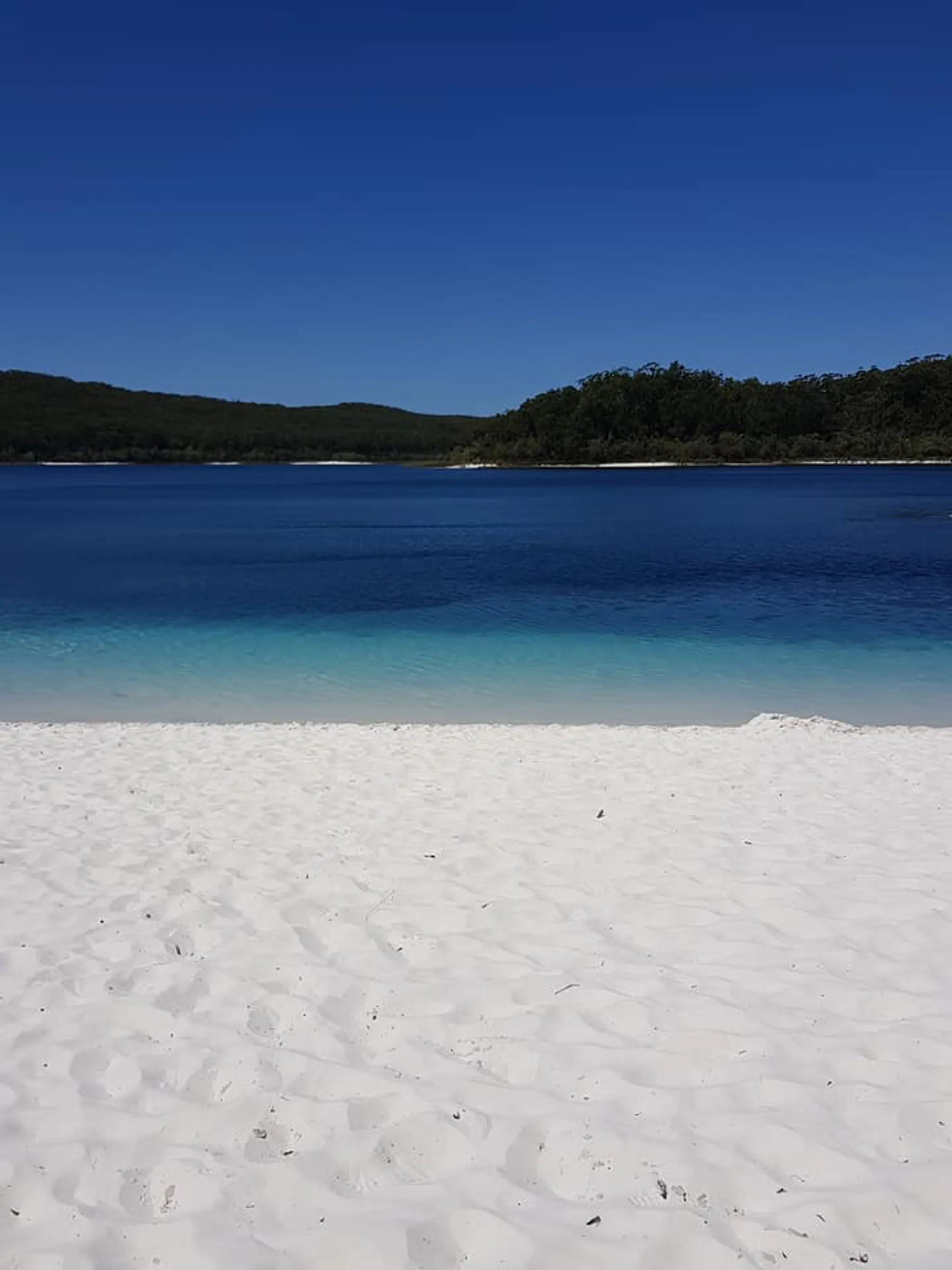 Fraser Island Adventure Tours