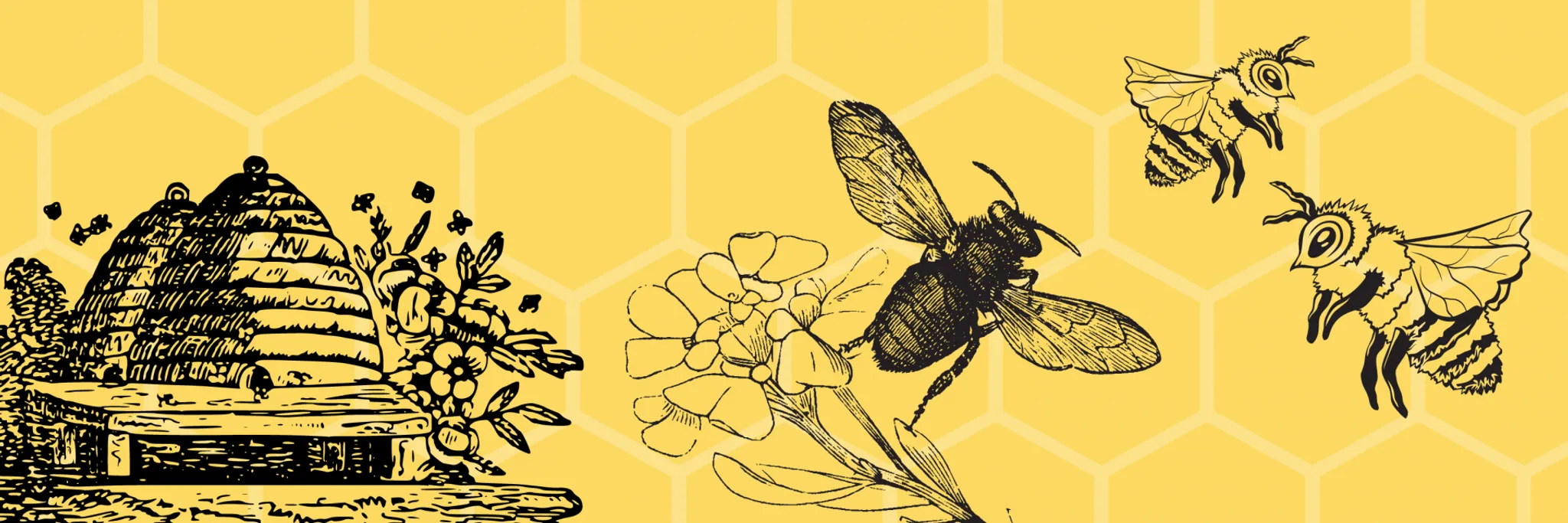 Summer Volleyball Tournament