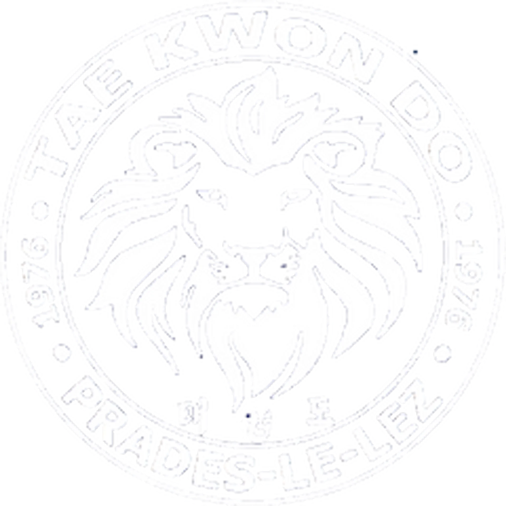 Tae Kwon Do