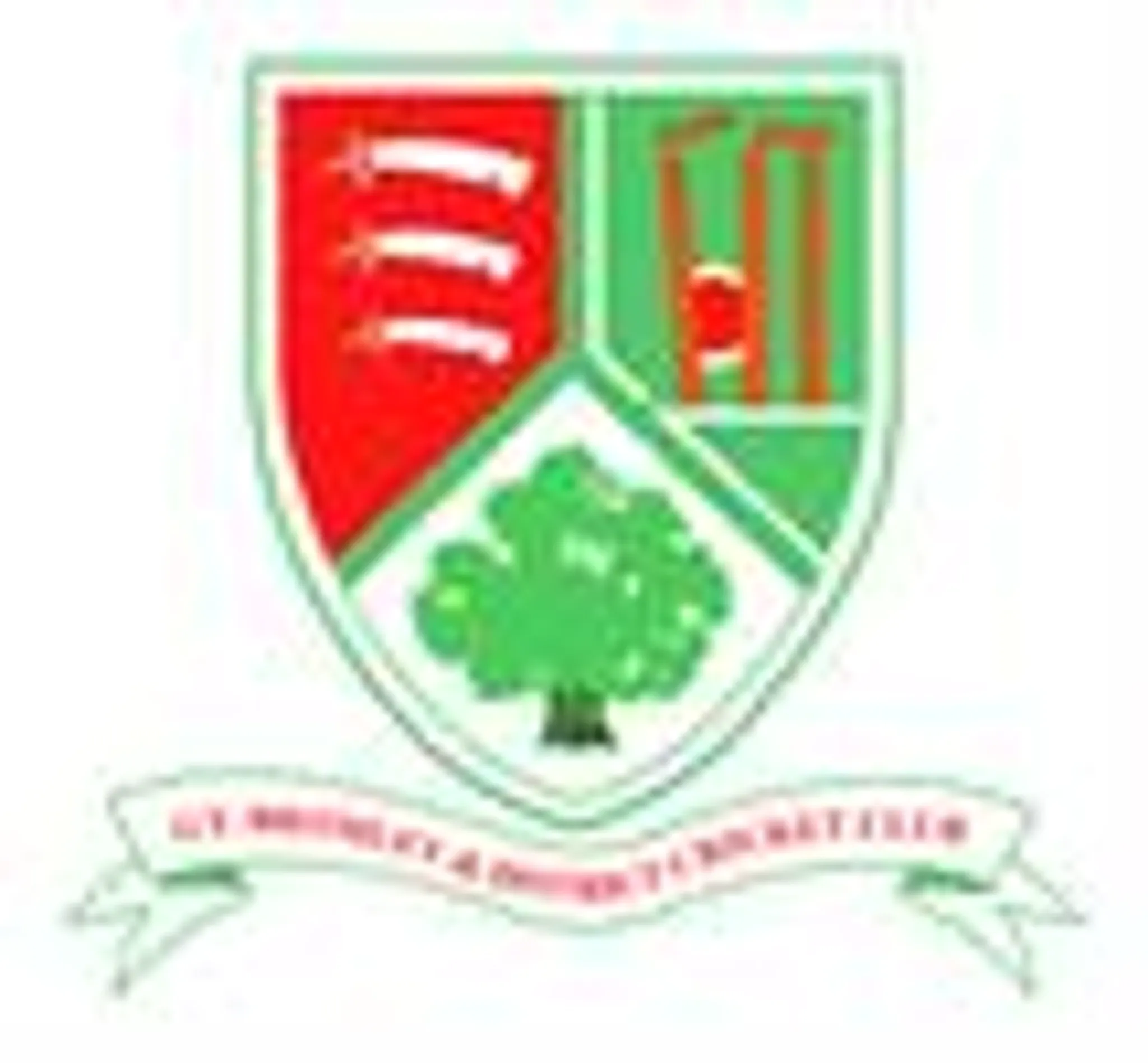 Great Bromley Cricket Club