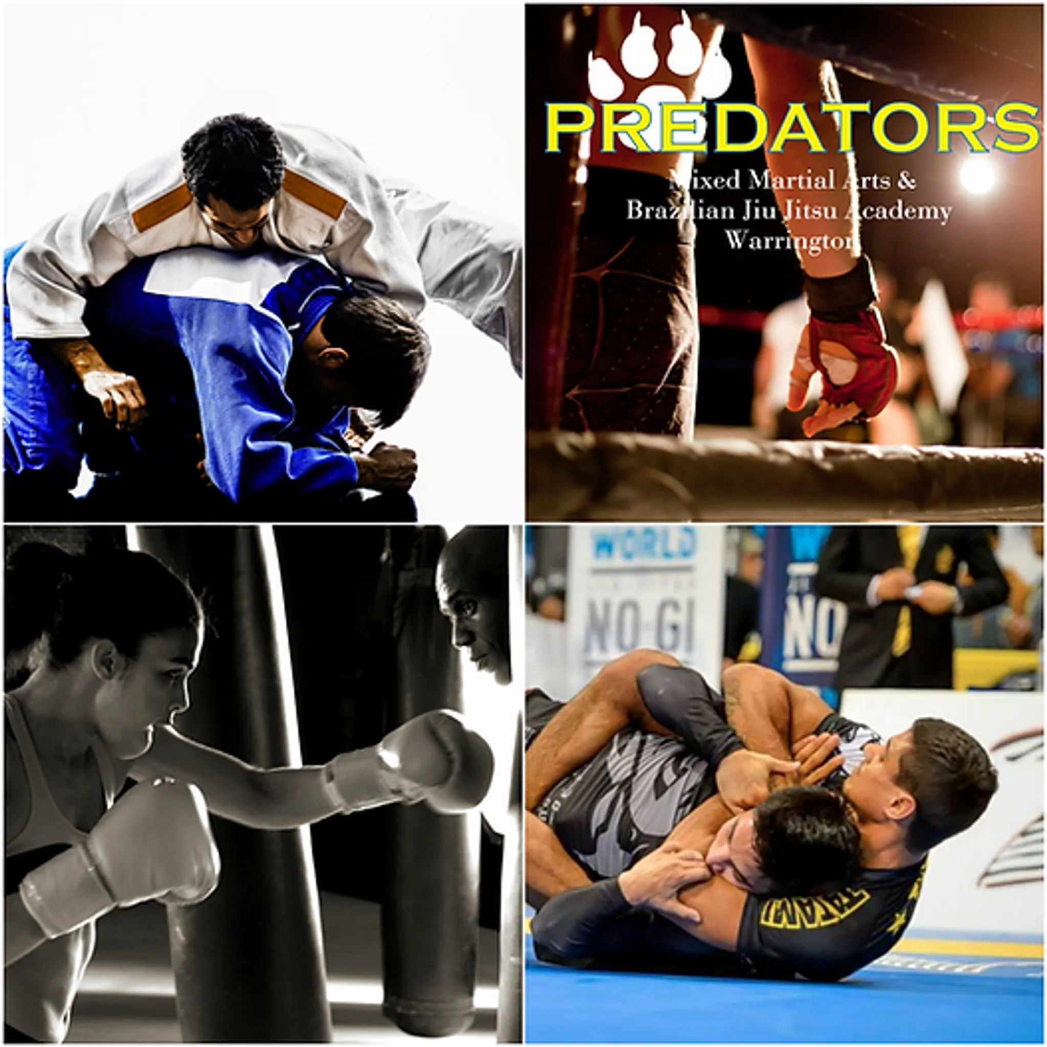 Predators MMA & BJJ Academy Warrington