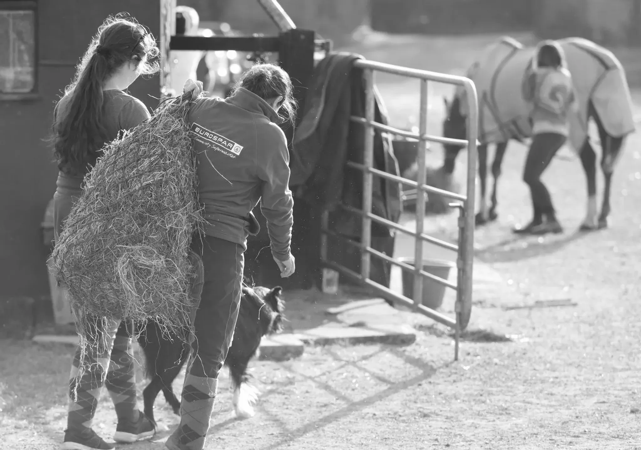 Show Jumping at Lime Park Equestrian Centre