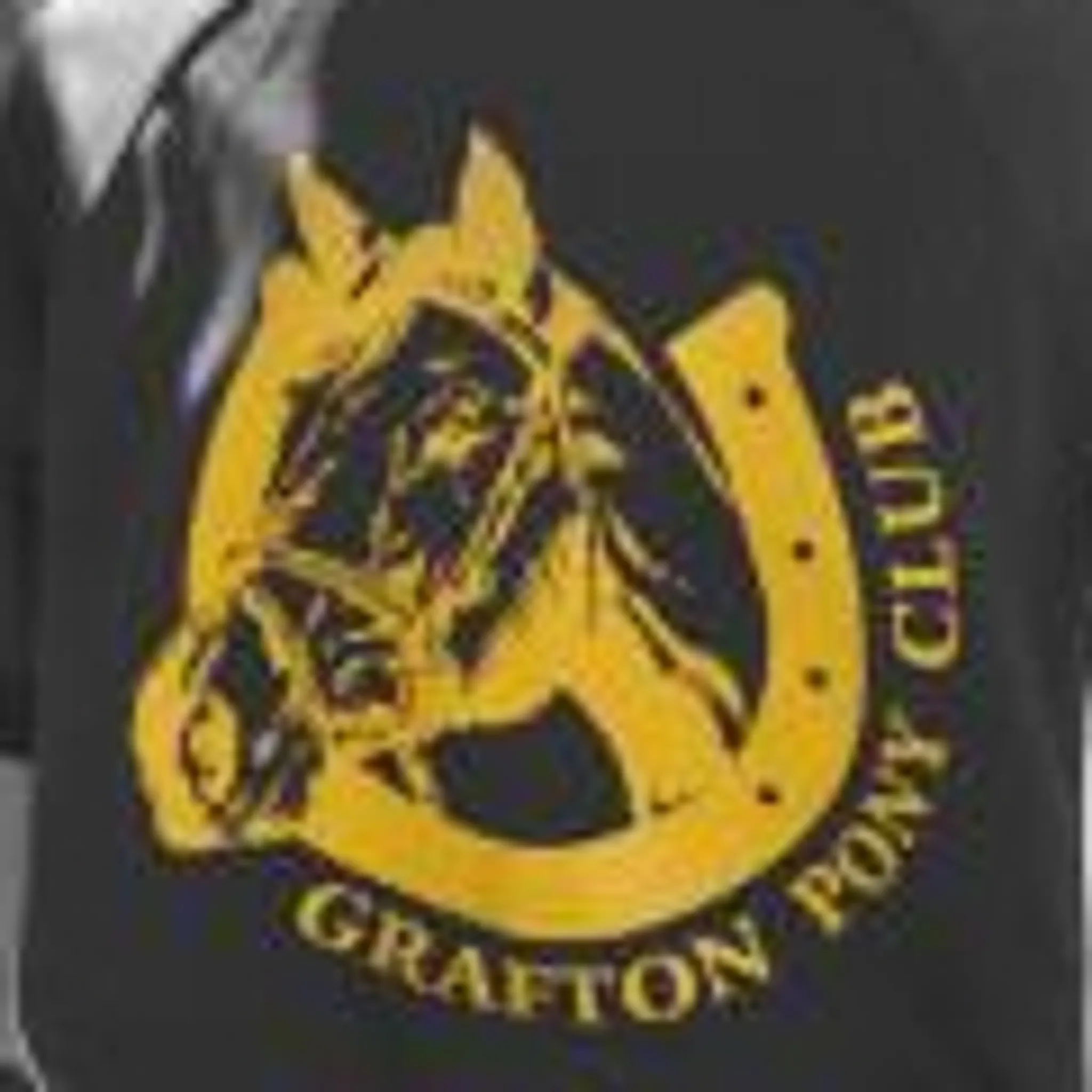 Grafton Pony Club