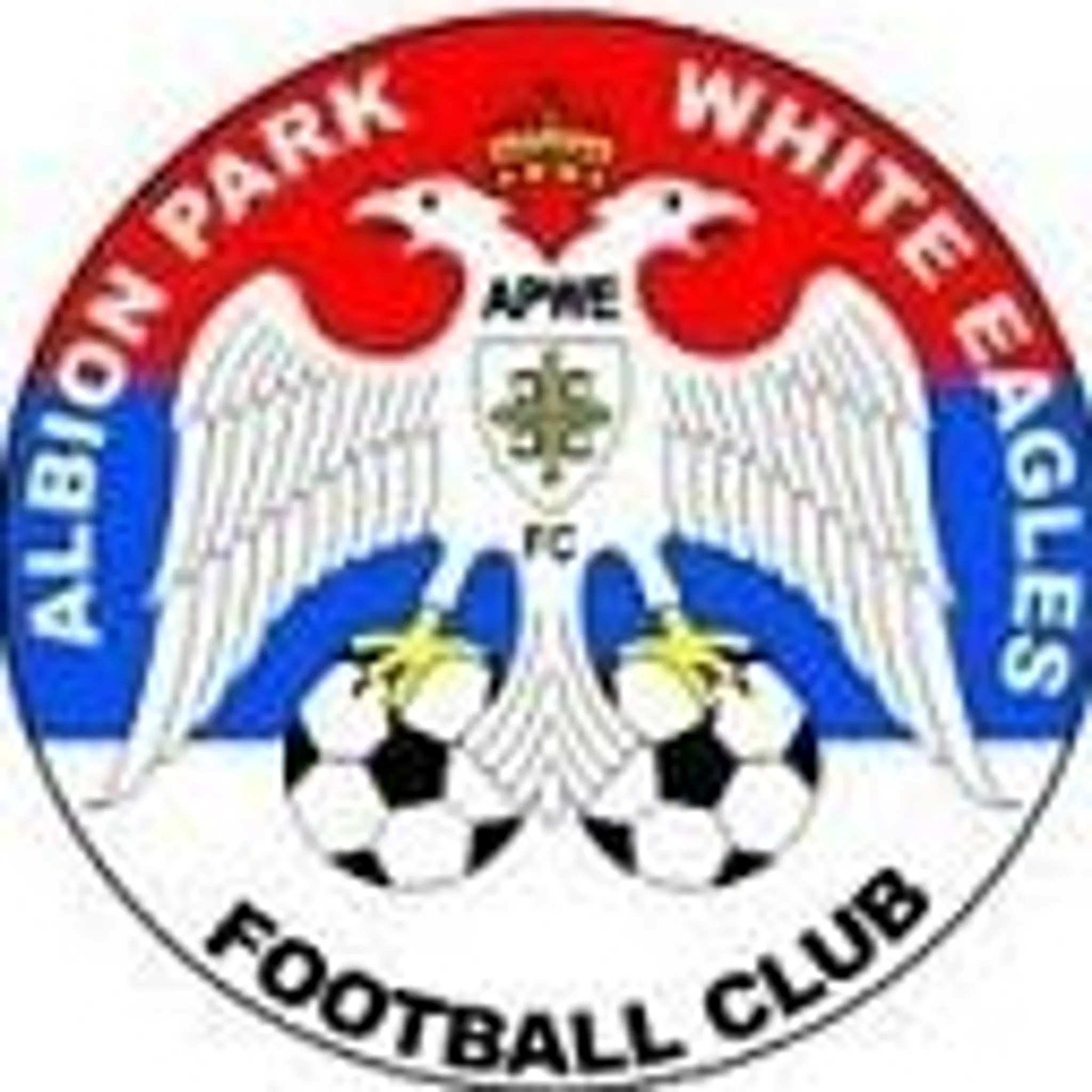 Albion Park White Eagles Football Club