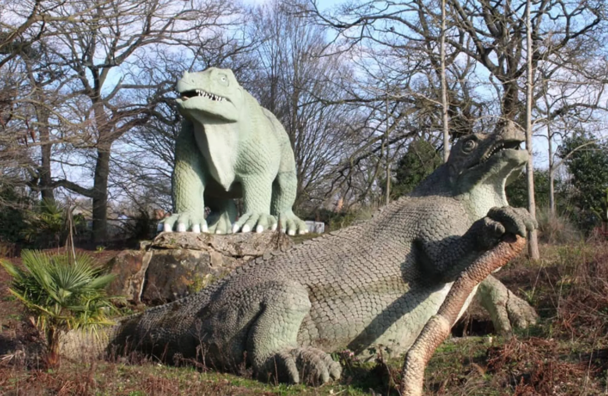 Sarah's Alternative Fitness